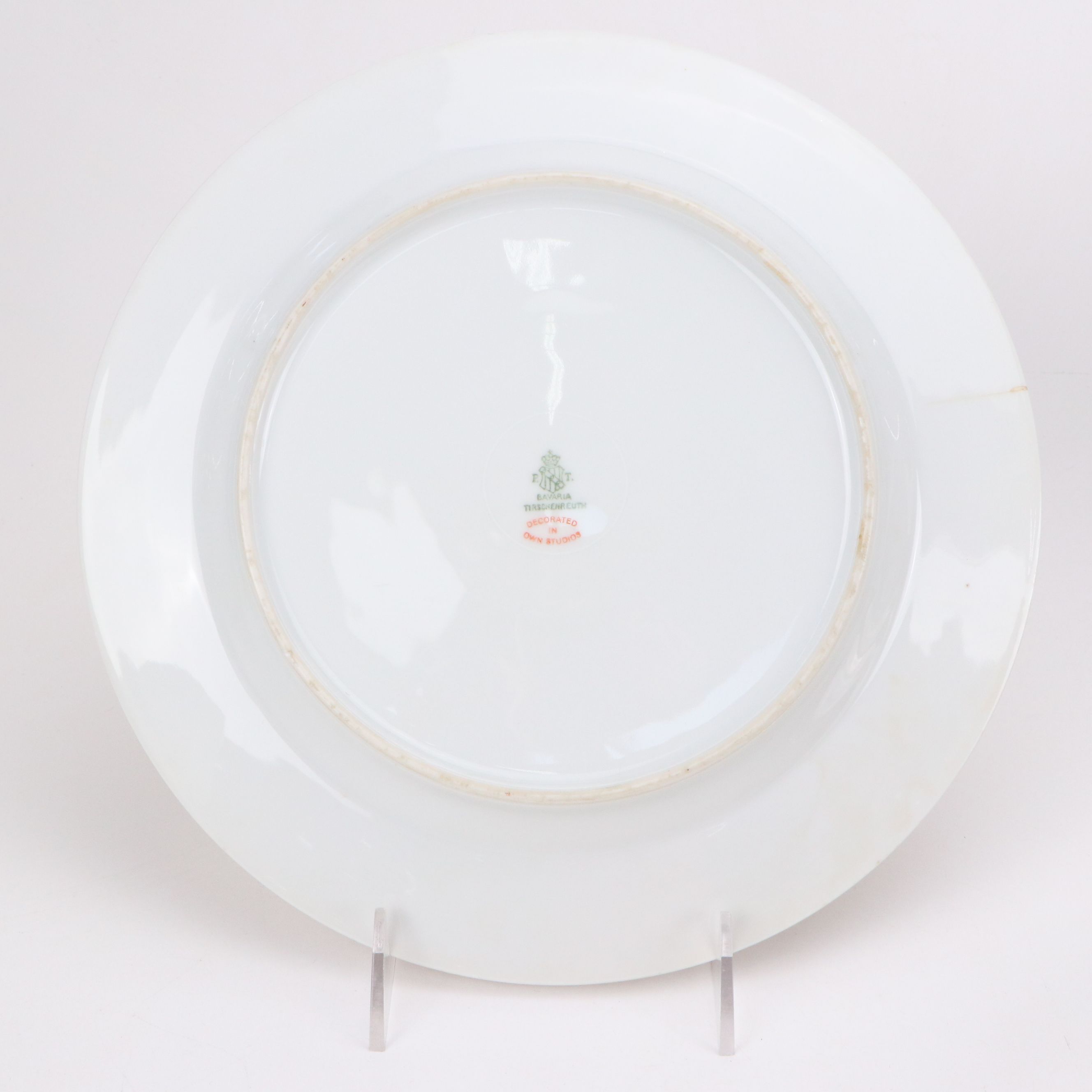 Tirschenreuth Hand-Painted Porcelain Floral Dinner Plates