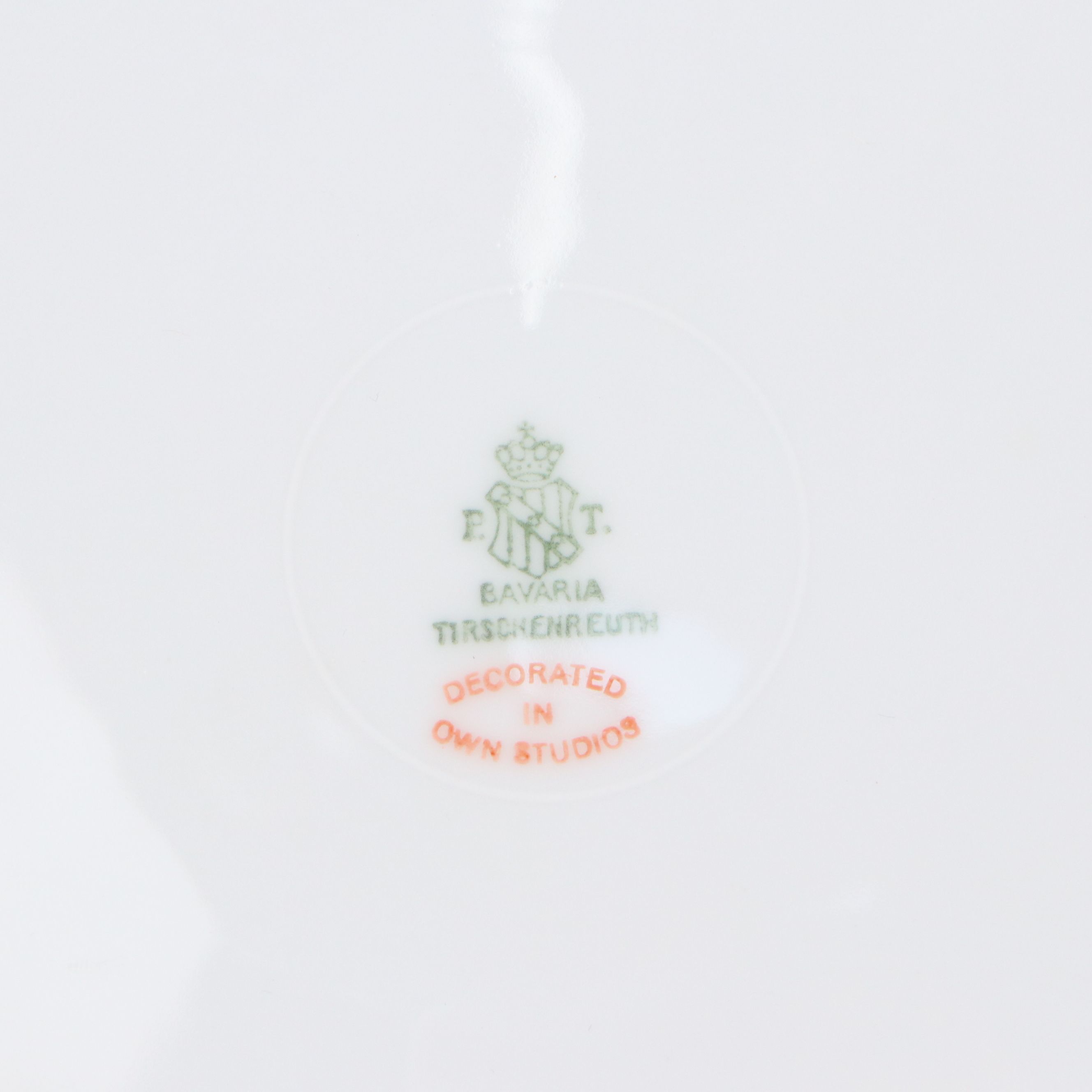 Tirschenreuth Hand-Painted Porcelain Floral Dinner Plates