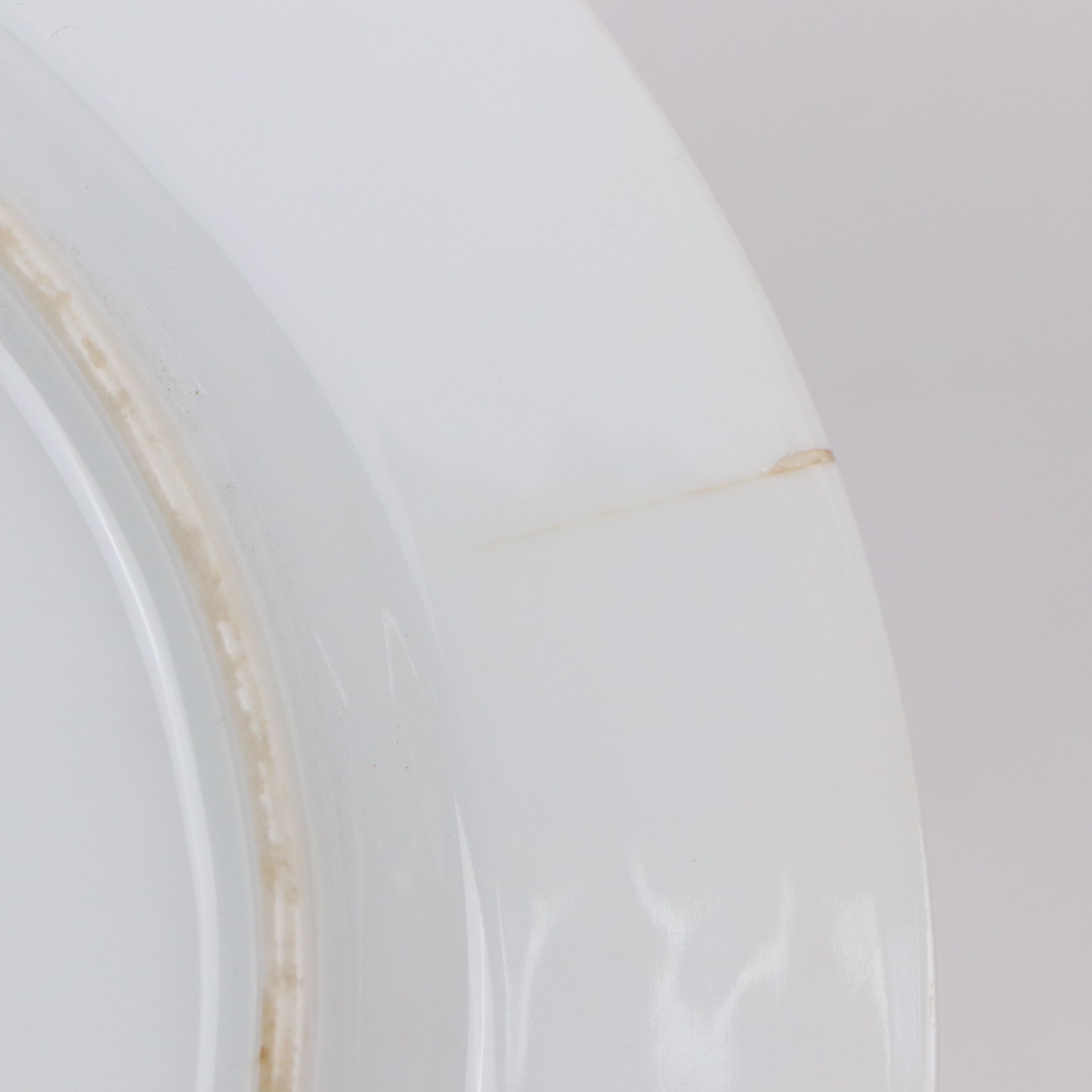 Tirschenreuth Hand-Painted Porcelain Floral Dinner Plates