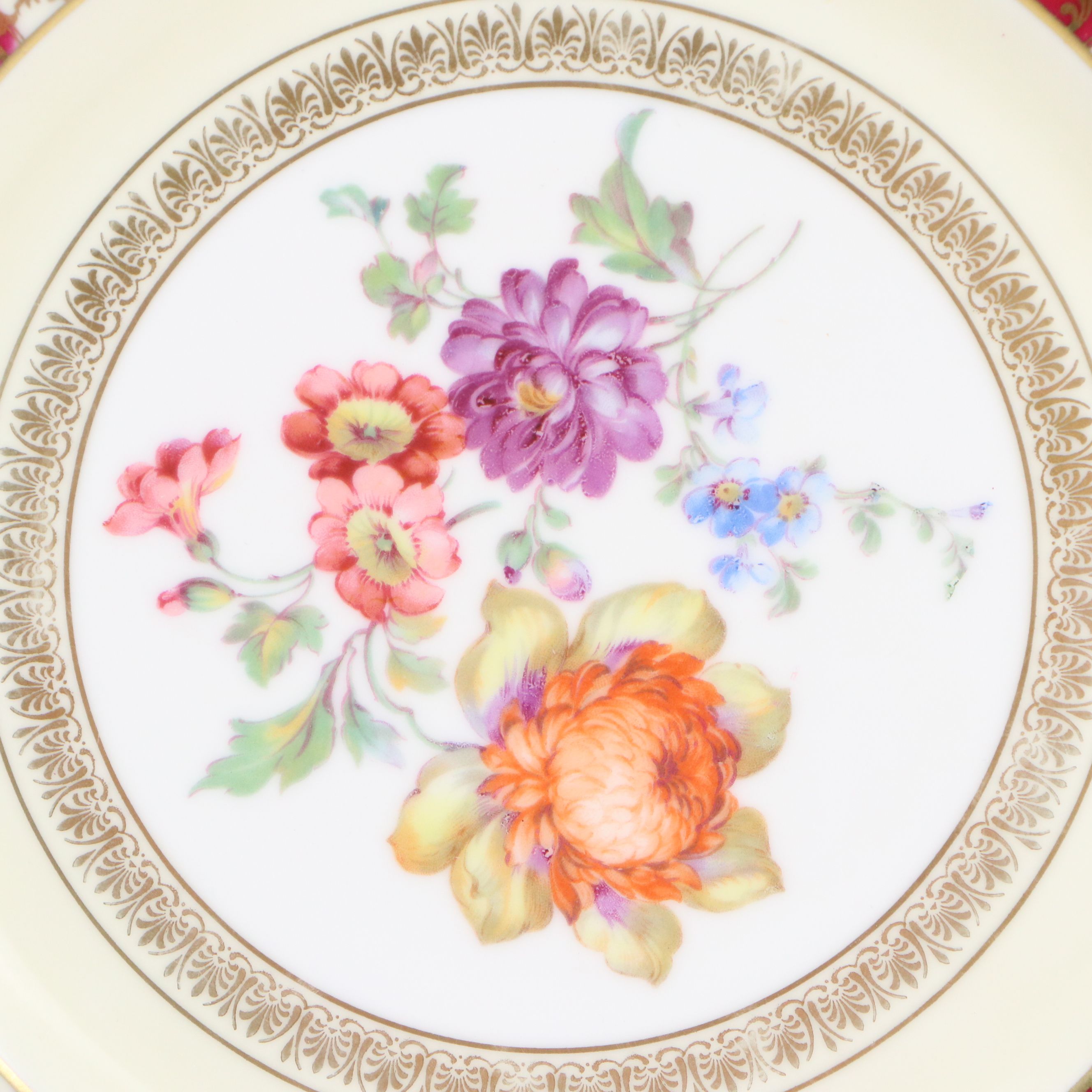 Tirschenreuth Hand-Painted Porcelain Floral Dinner Plates