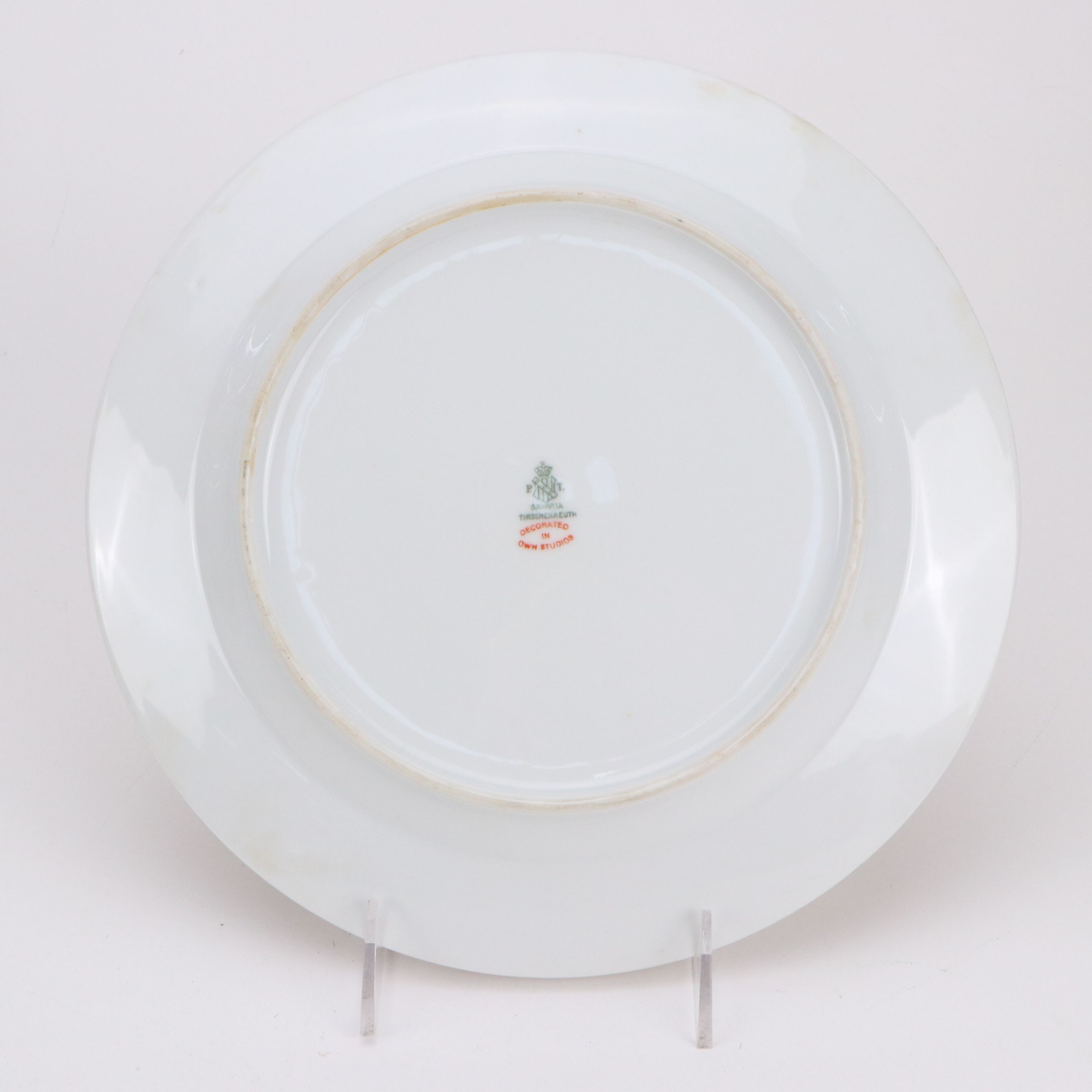 Tirschenreuth Hand-Painted Porcelain Floral Dinner Plates