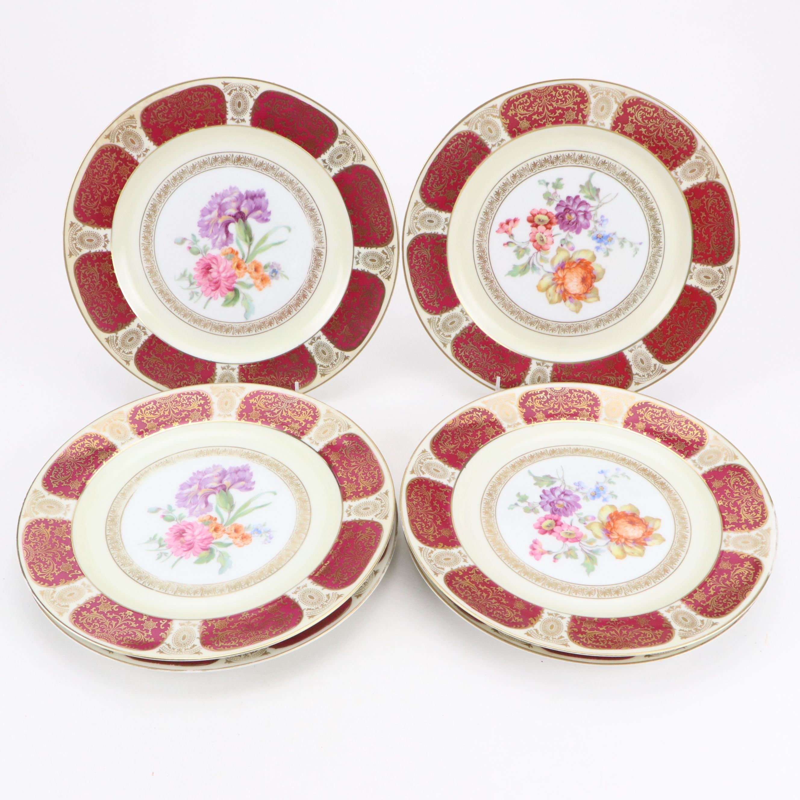 Tirschenreuth Hand-Painted Porcelain Floral Dinner Plates