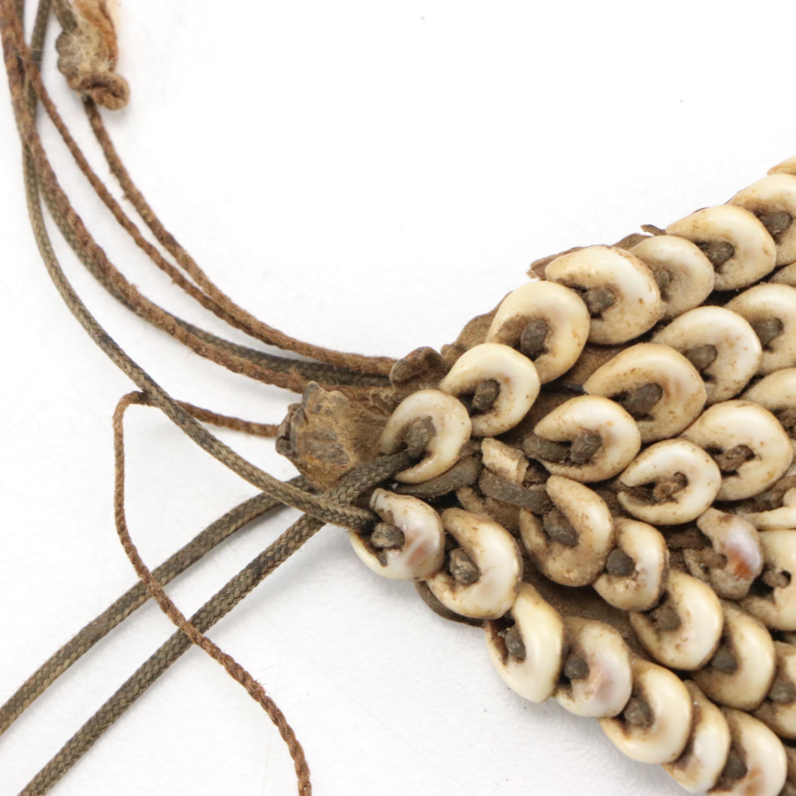 Papua New Guinea Nassa Shell Headband with Sepik River Bone Hair Pin