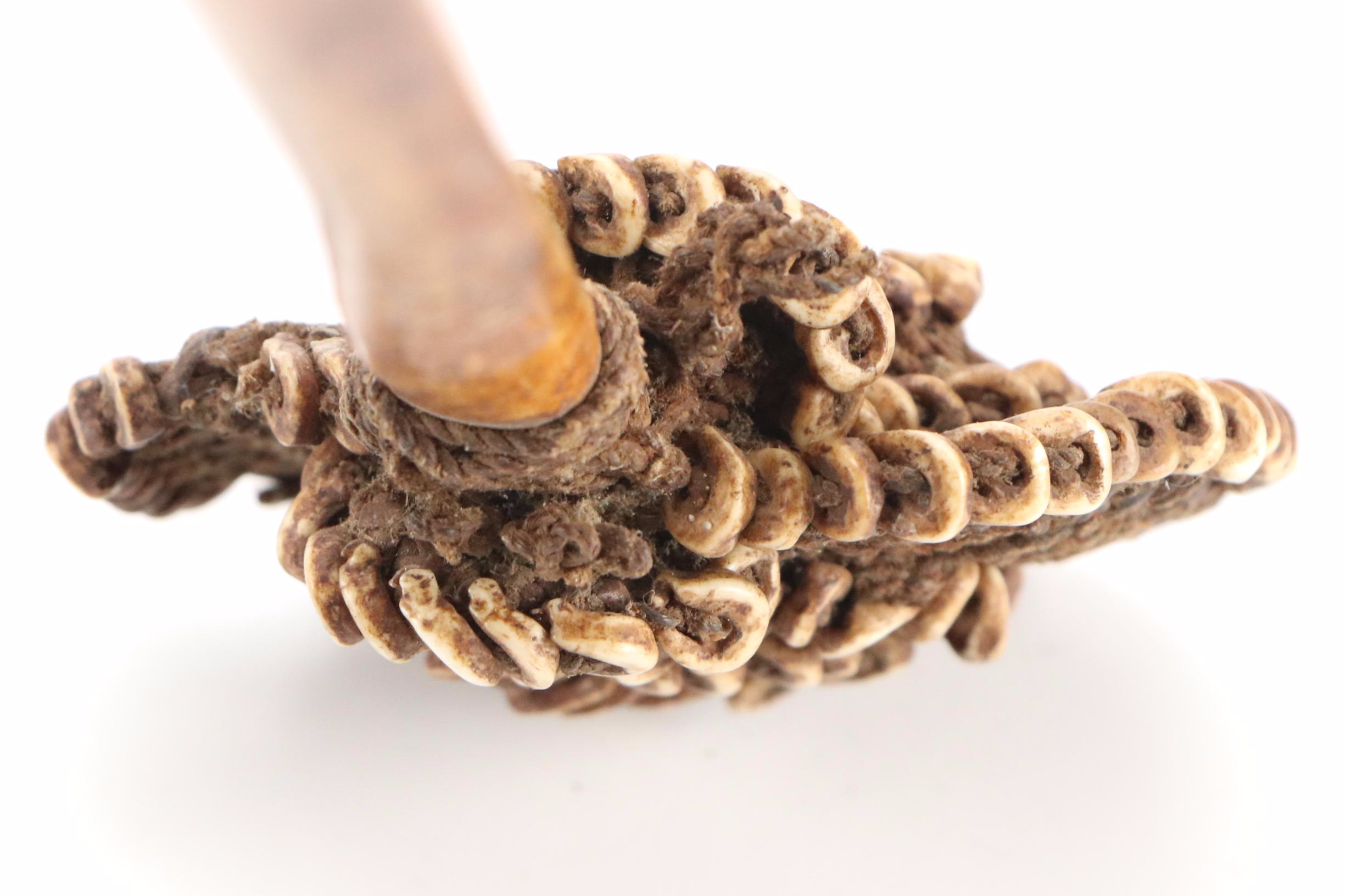 Papua New Guinea Nassa Shell Headband with Sepik River Bone Hair Pin