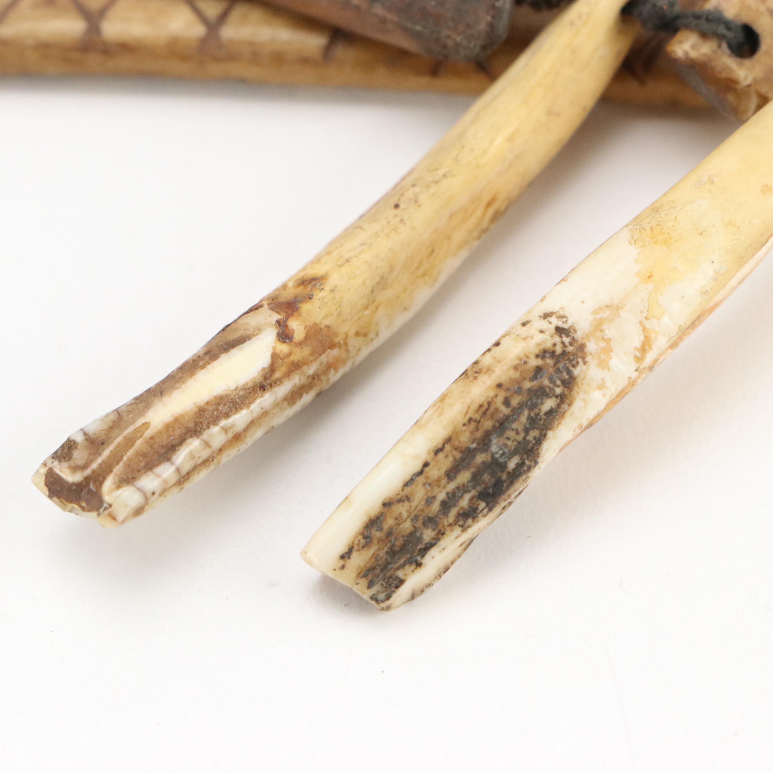Papua New Guinea Carved Bone Necklaces with Boar Tusks and Pig Teeth