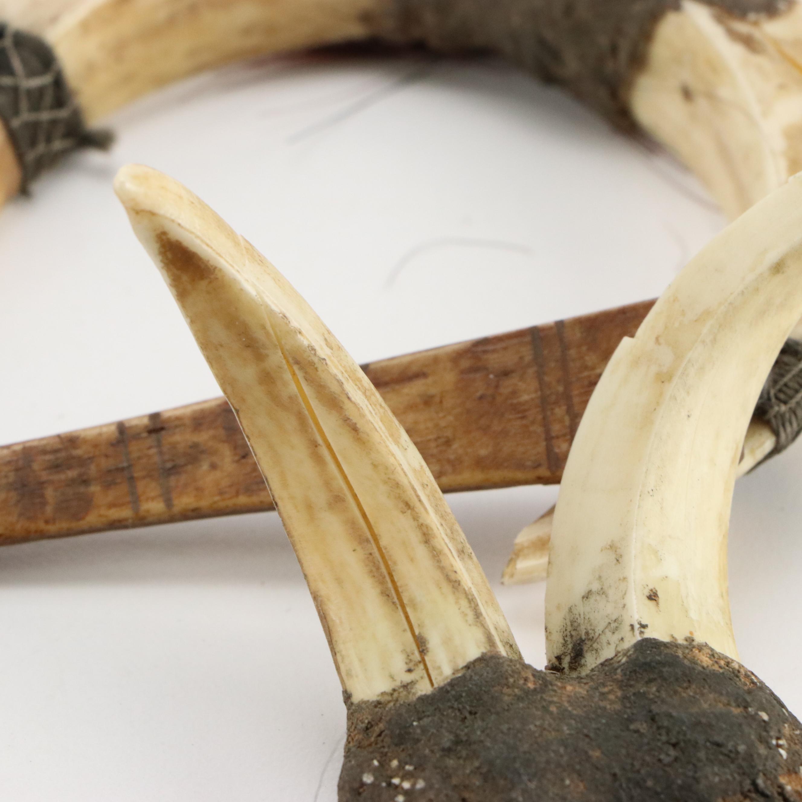 Papua New Guinea Carved Bone Necklaces with Boar Tusks and Pig Teeth