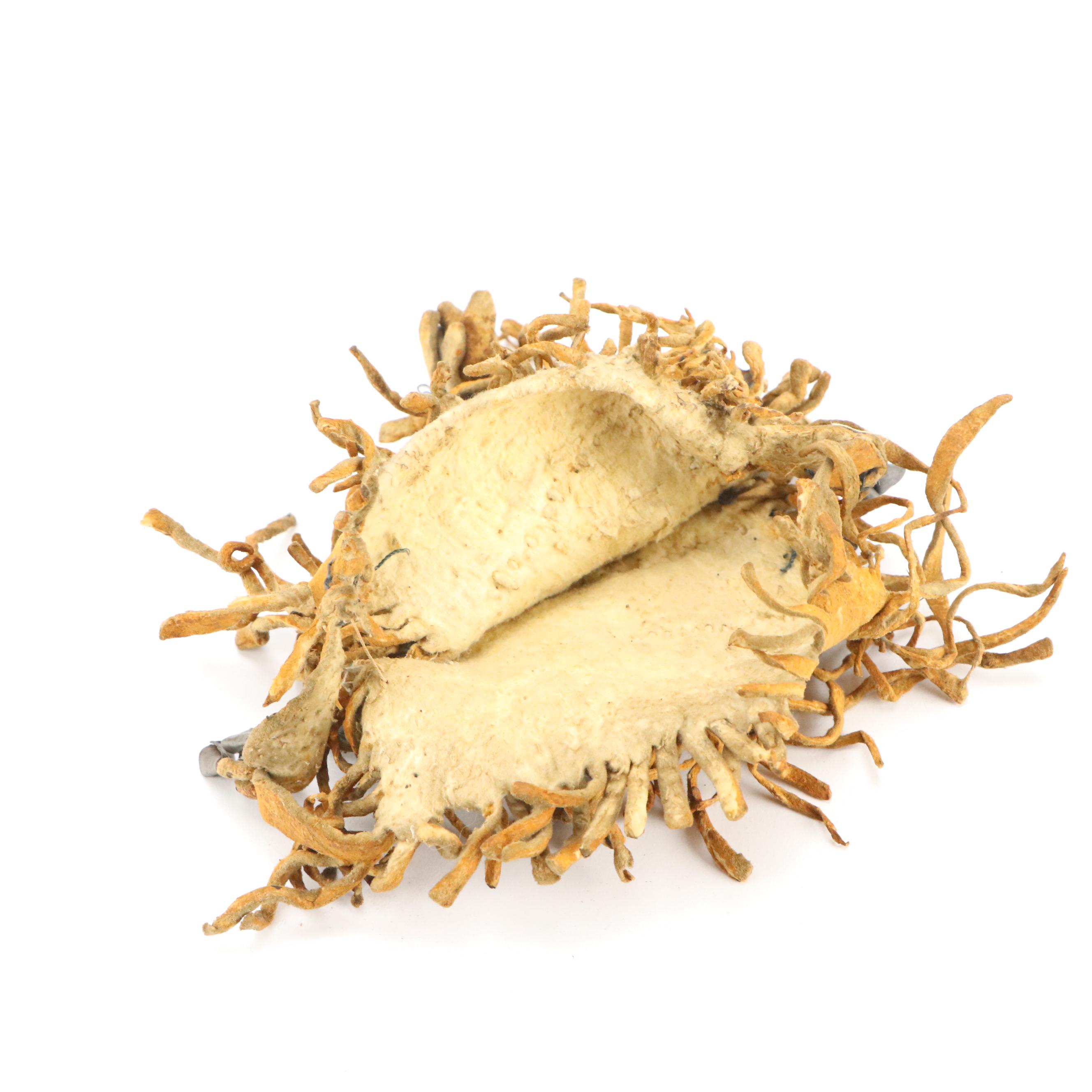 Indigenous Southwest Beaded Hide Pouches, One Apache with Tin Cone Suspensions