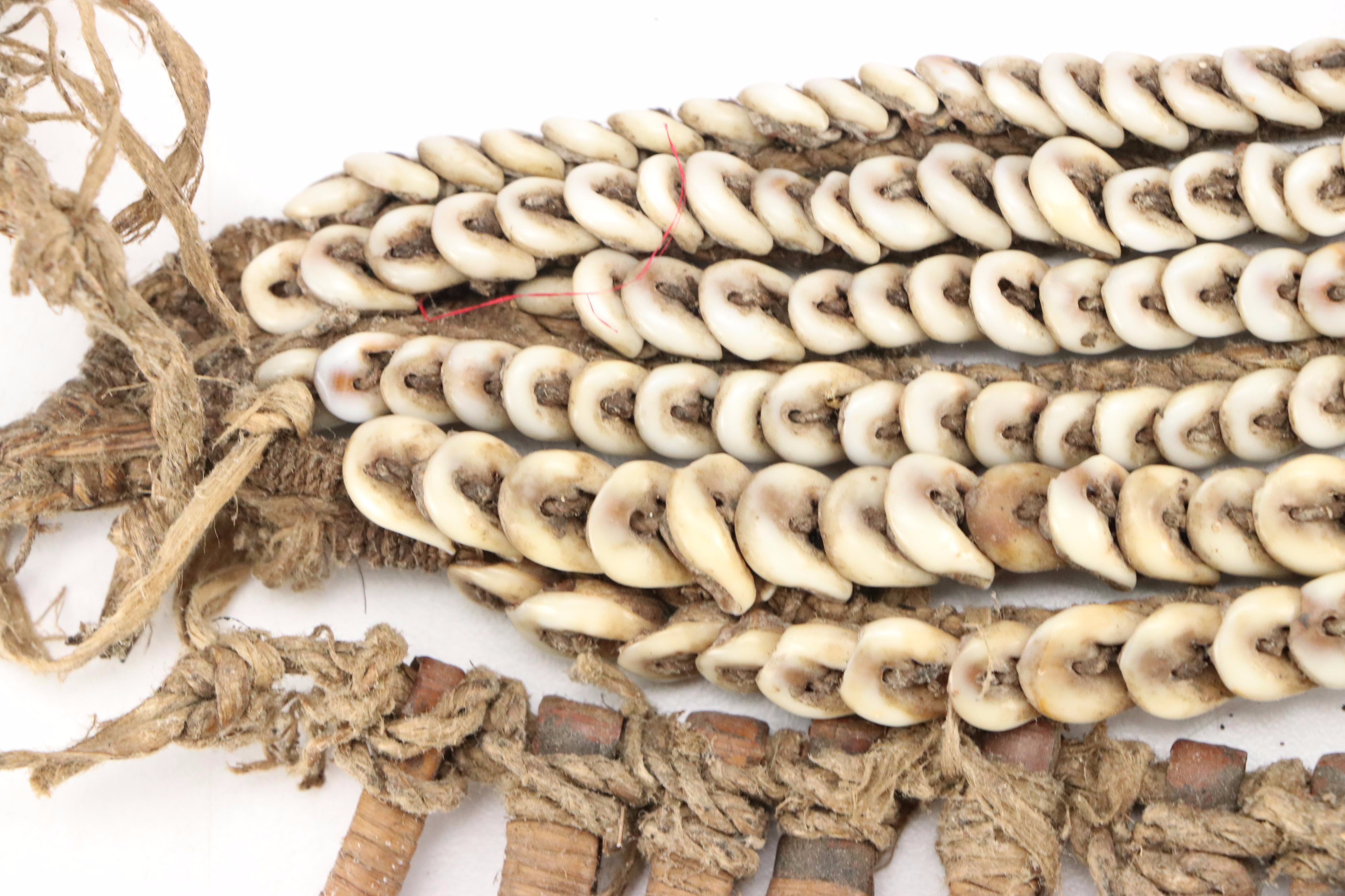 Papua New Guinea Nassa Shell Necklace with Cowrie Shell Reptilian Ornament