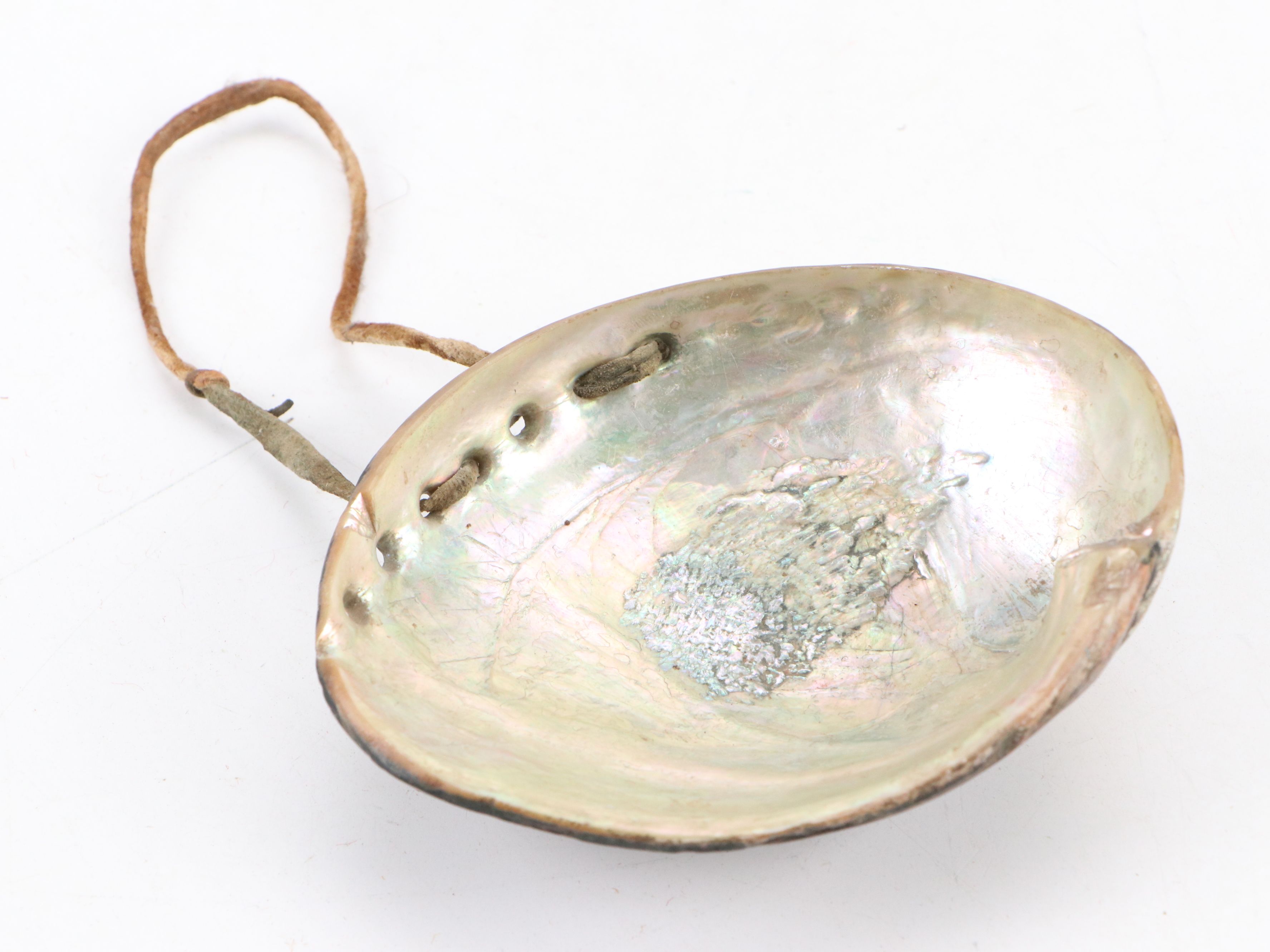 Indigenous Plains "Skull Cracker" with Fiber Burden Strap and Abalone Shell