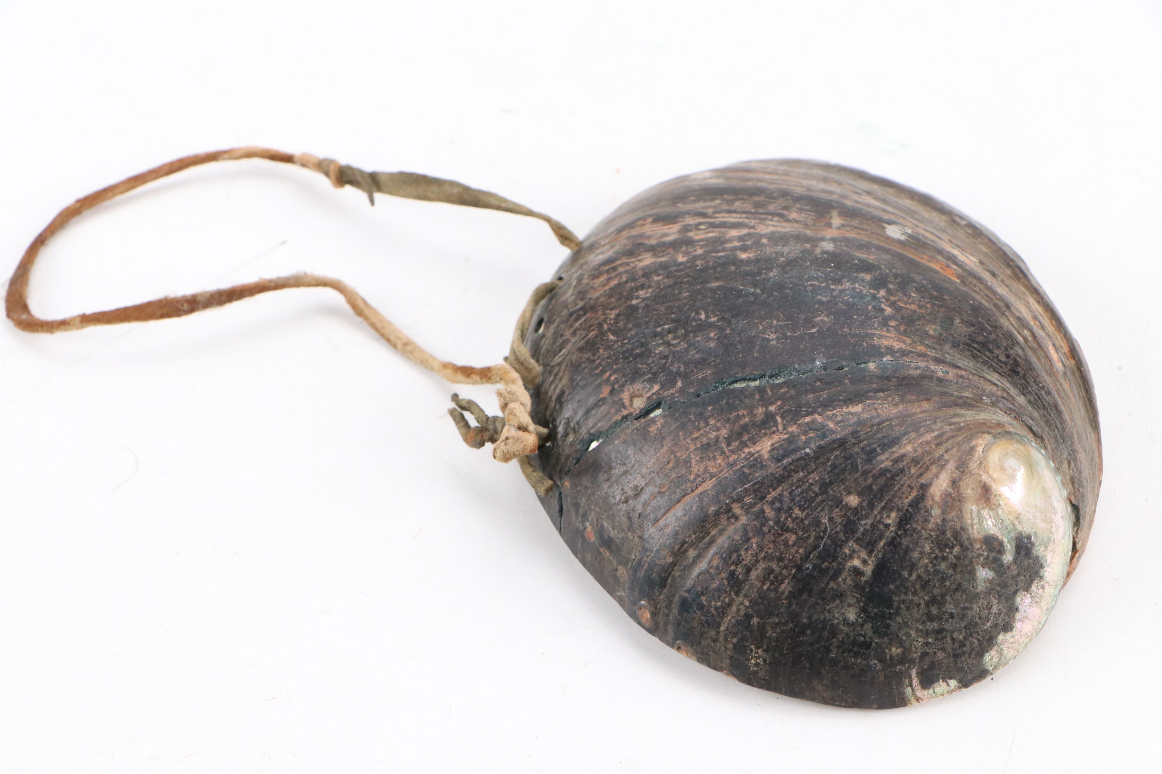 Indigenous Plains "Skull Cracker" with Fiber Burden Strap and Abalone Shell