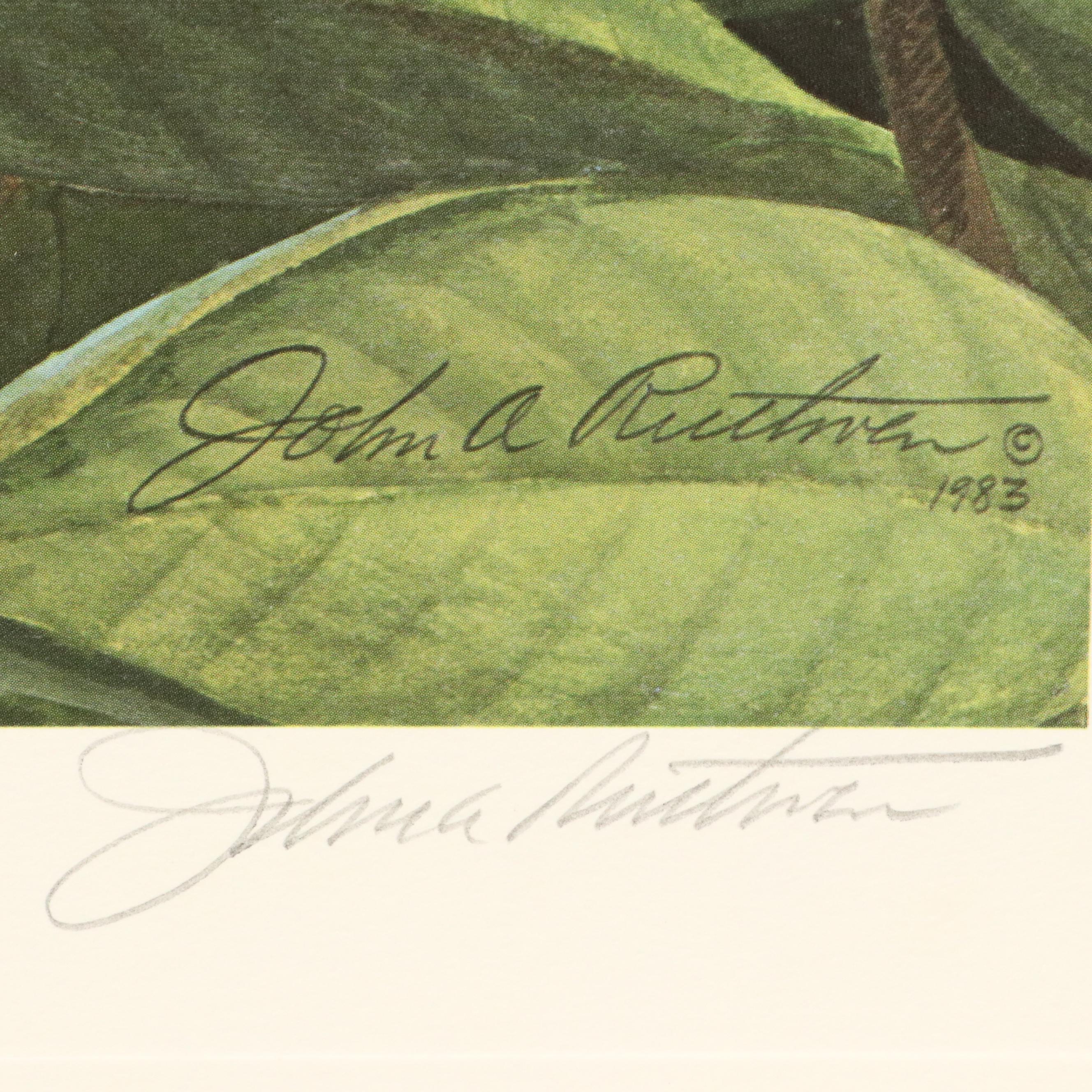 John A. Ruthven Raccoon Offset Lithograph "Papaw Bandit"