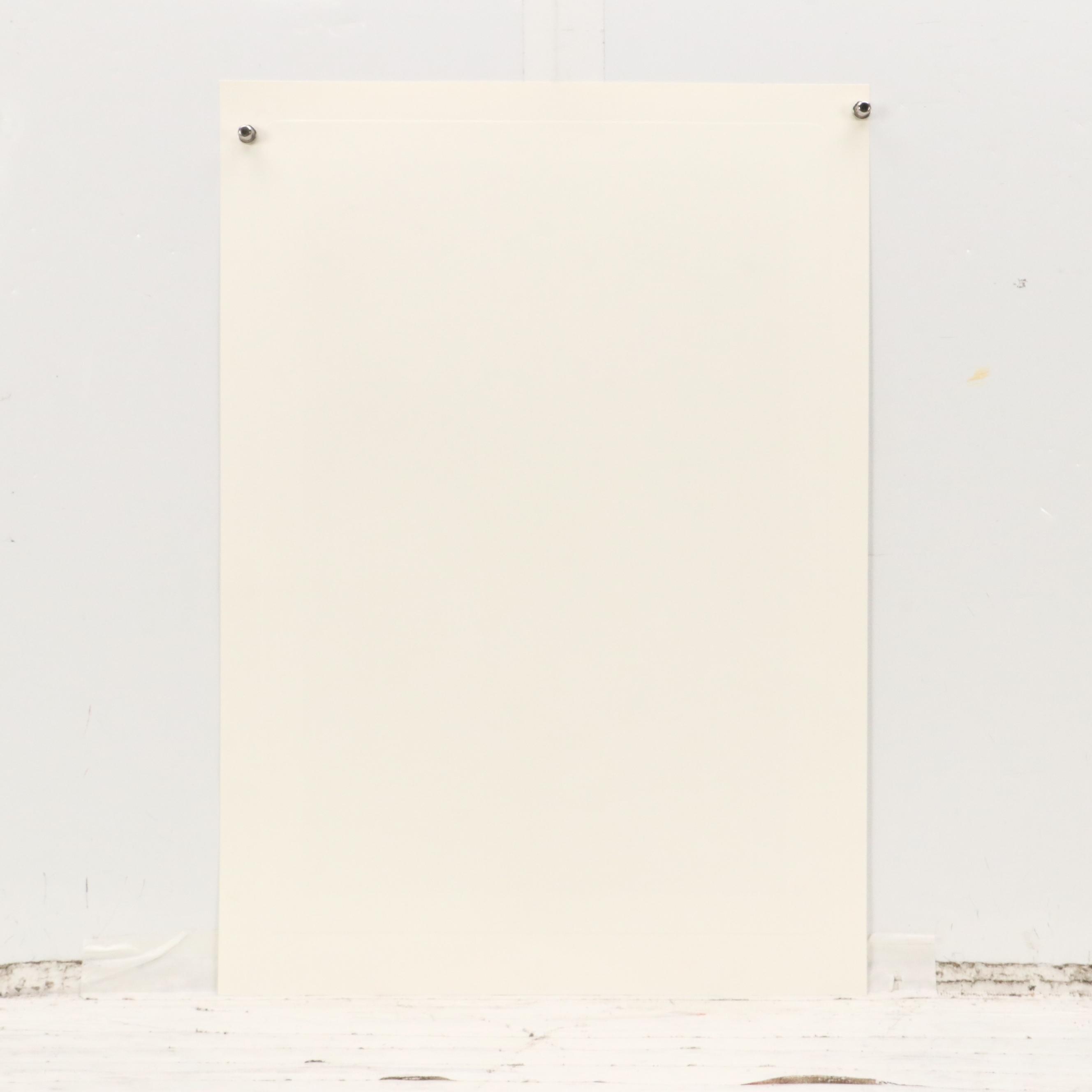 John A. Ruthven Raccoon Offset Lithograph "Papaw Bandit"