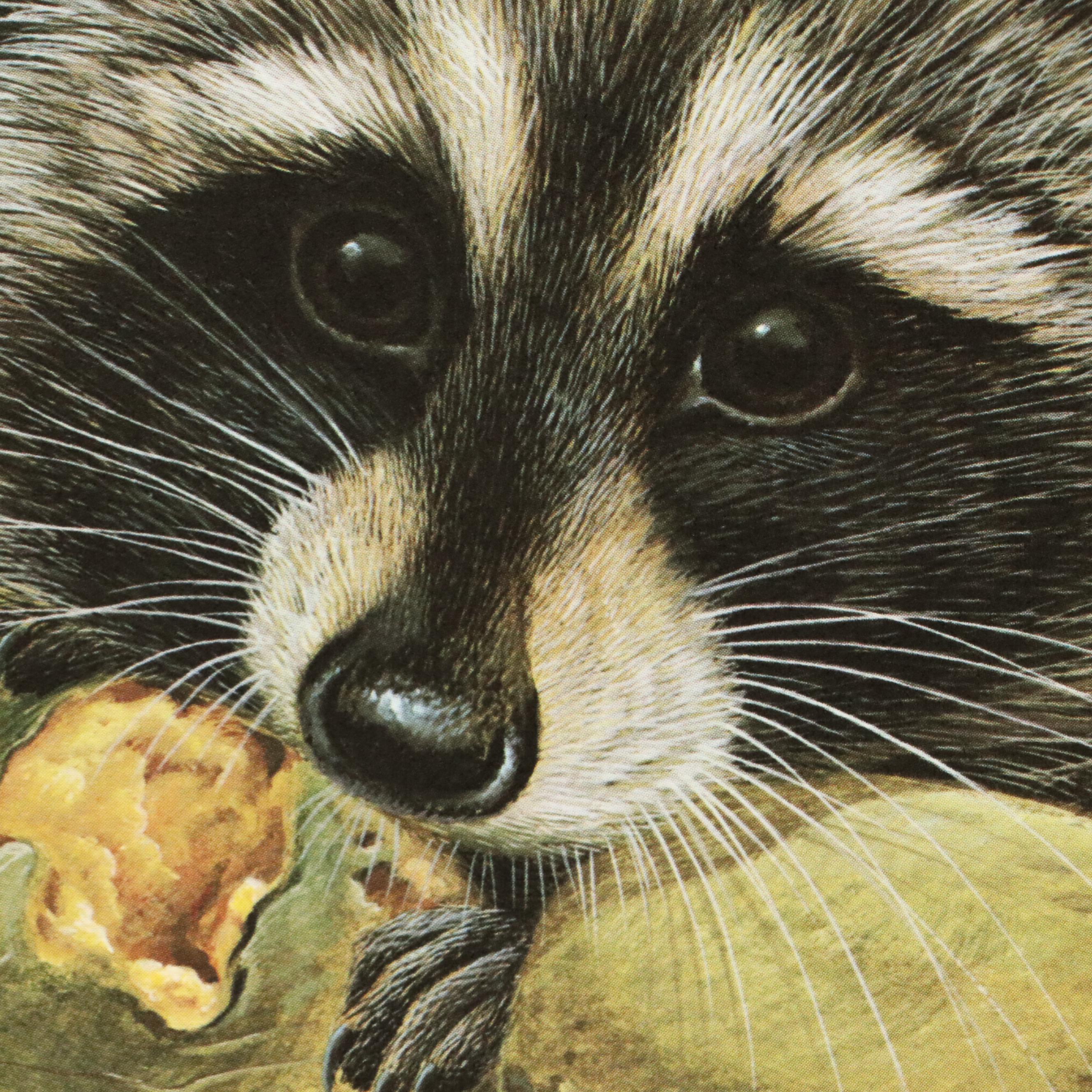 John A. Ruthven Raccoon Offset Lithograph "Papaw Bandit"