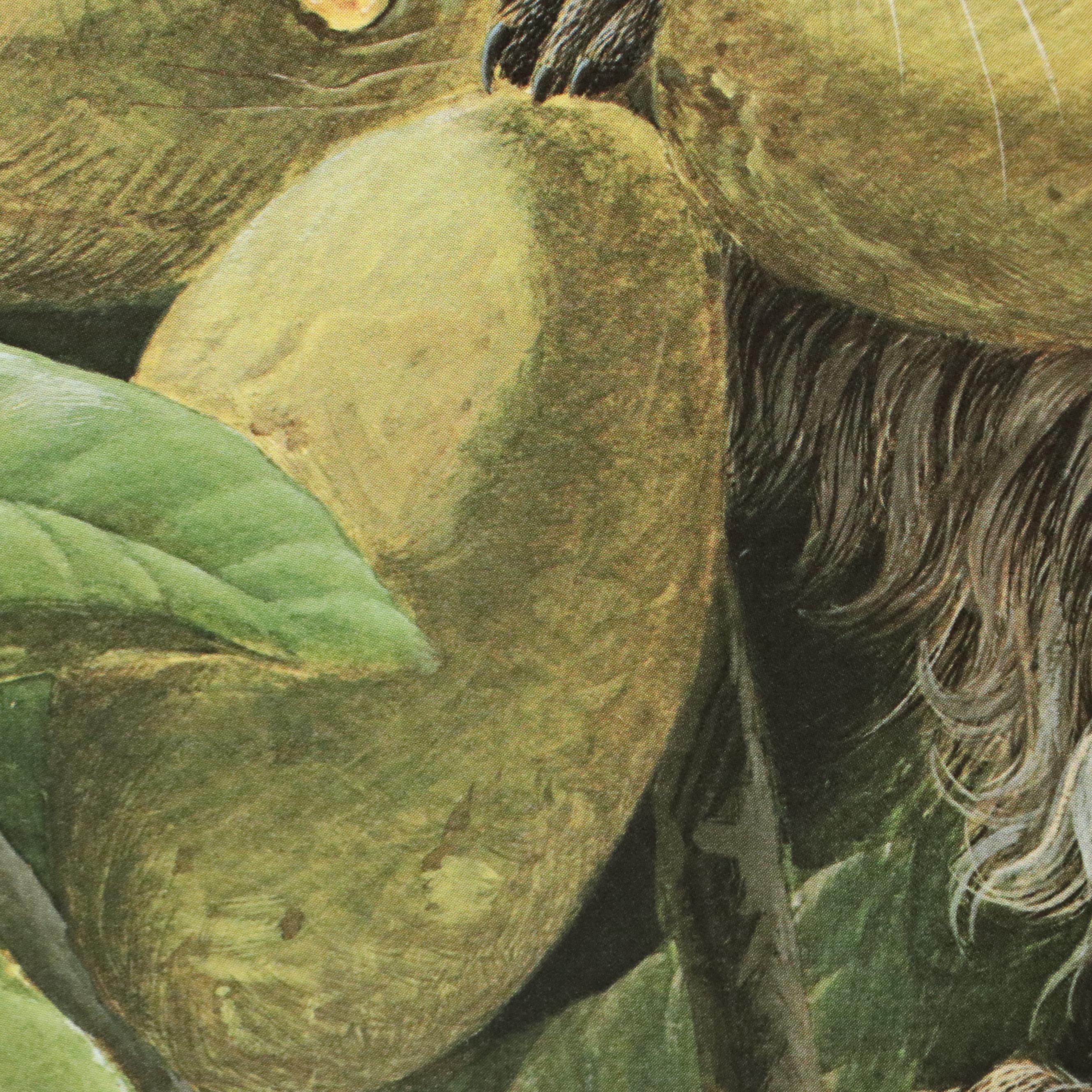 John A. Ruthven Raccoon Offset Lithograph "Papaw Bandit"