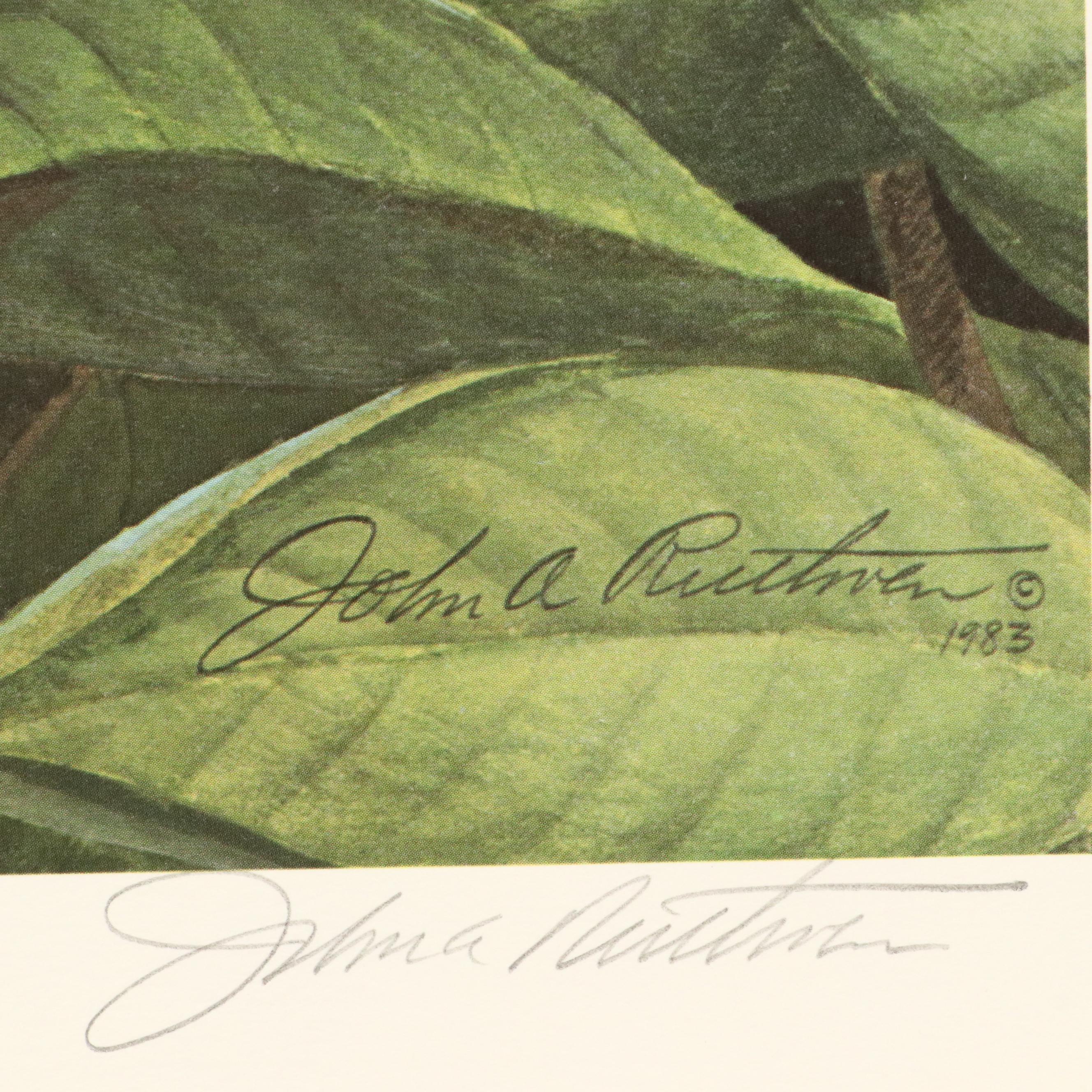 John A. Ruthven Raccoon Offset Lithograph "Papaw Bandit"