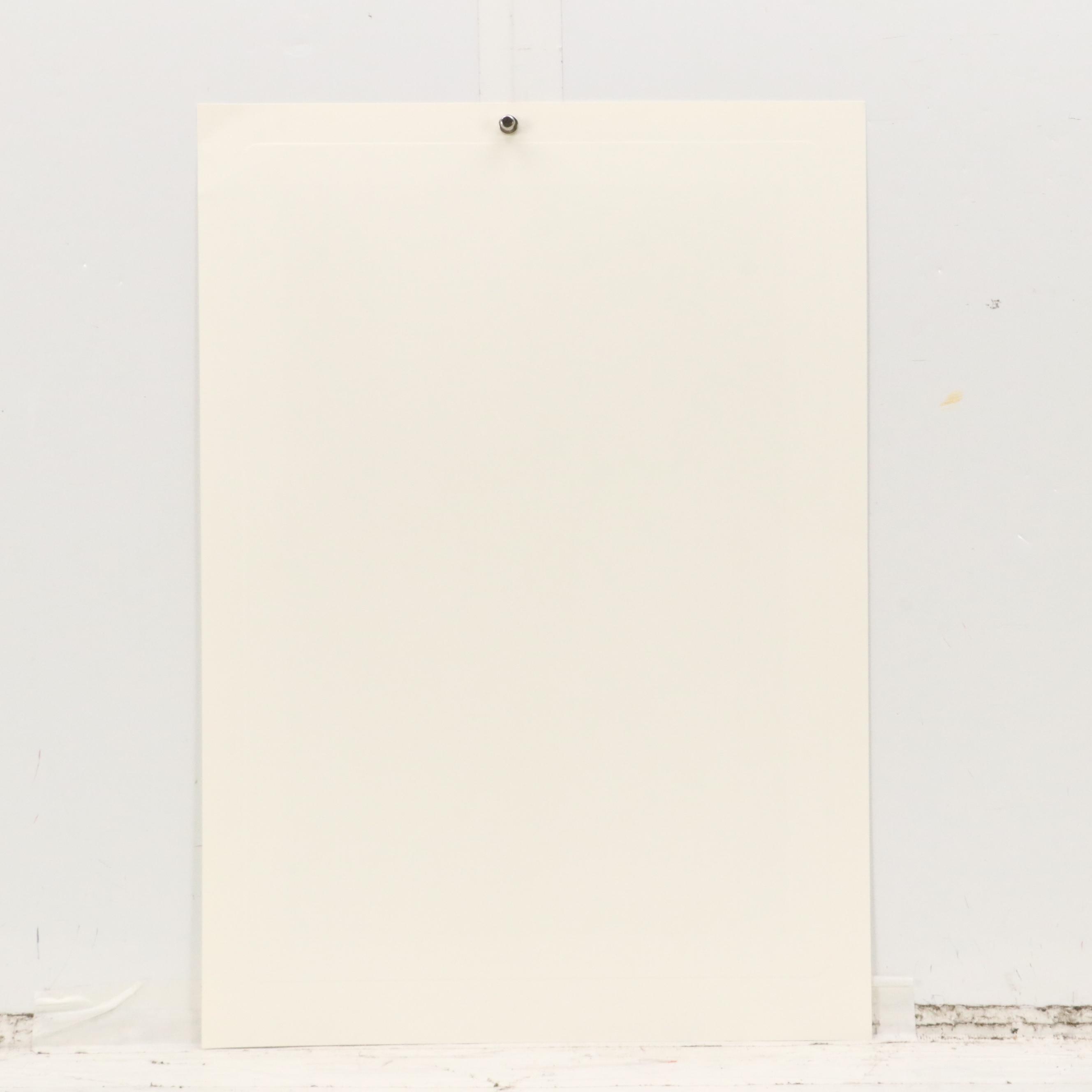 John A. Ruthven Raccoon Offset Lithograph "Papaw Bandit"