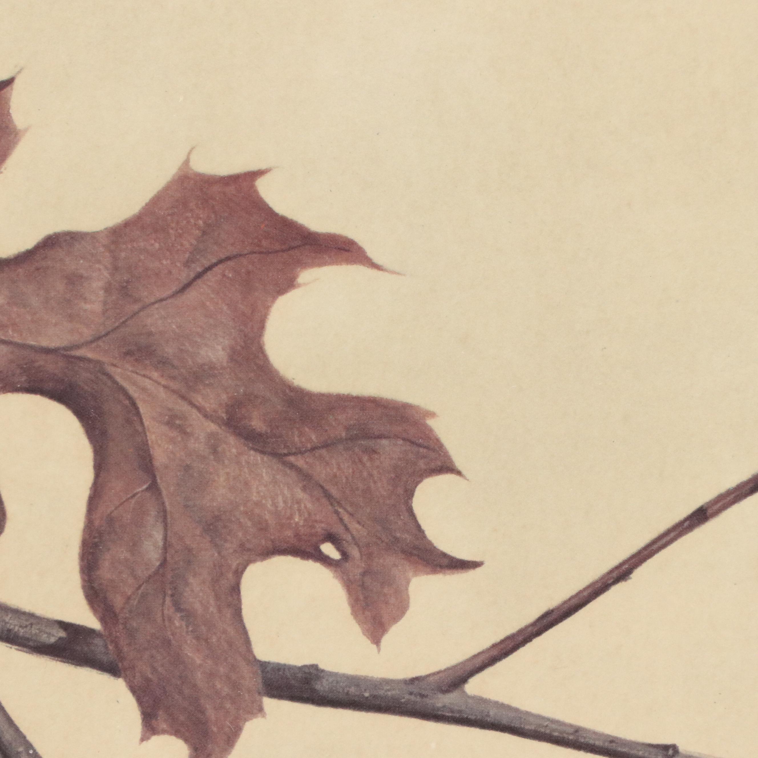 John Ruthven Framed Print "Screech Owls," 1968