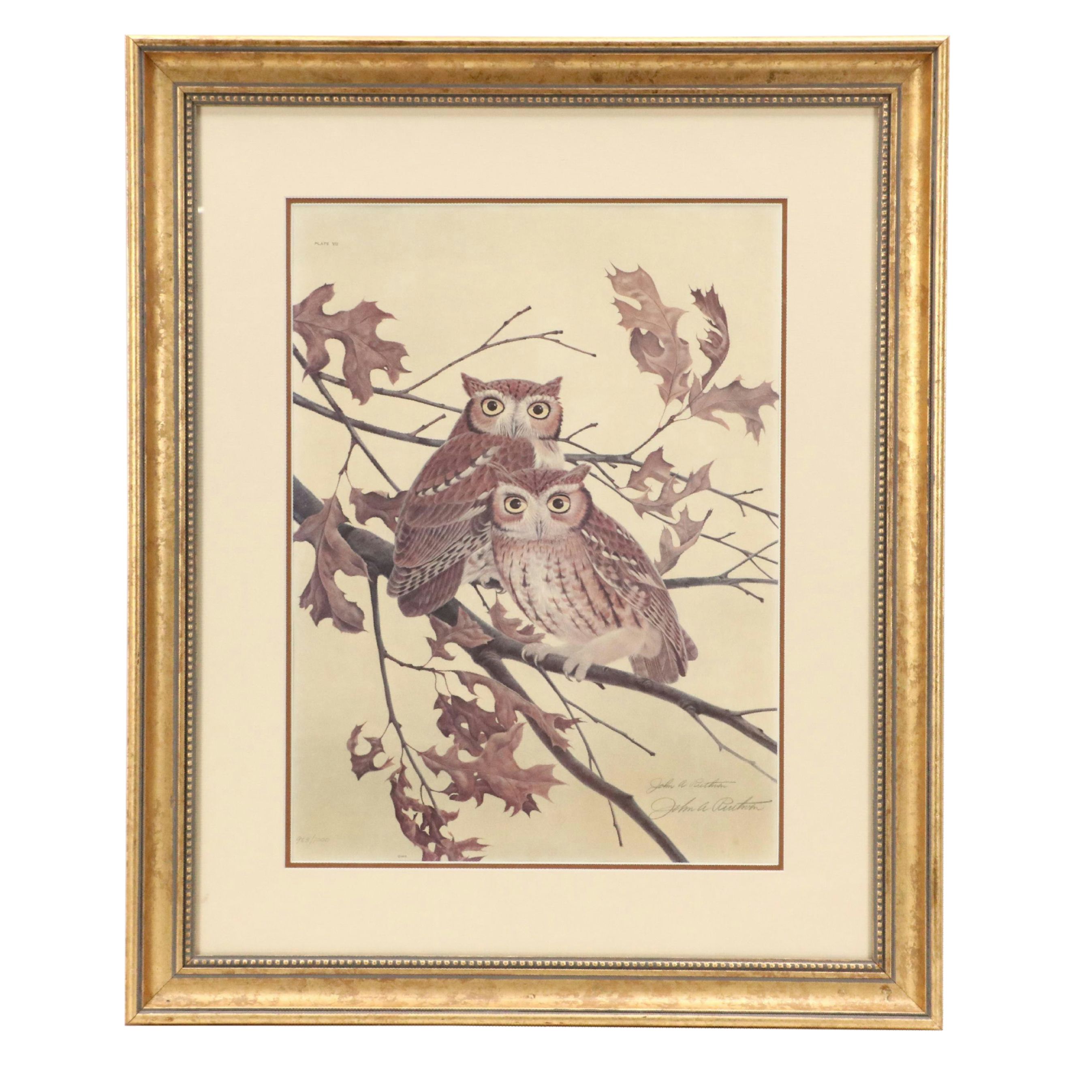 John Ruthven Framed Print "Screech Owls," 1968