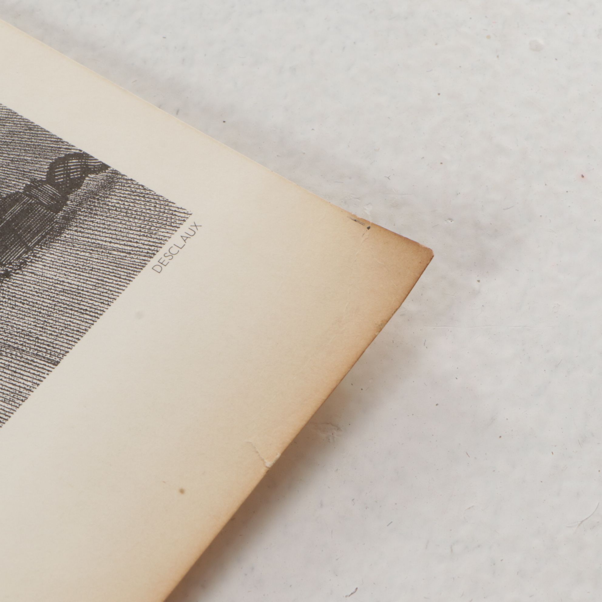 Uncut Lithograph Sheets "Queen of the Vineyard," "The Wizard" and More, 1970