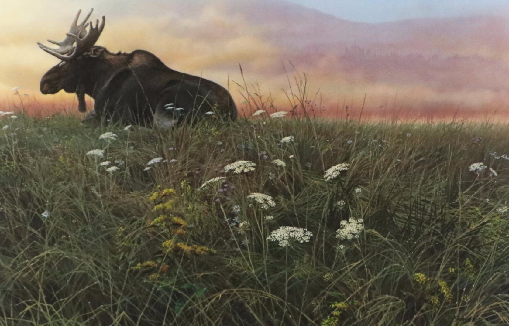 John Seerly-Lester Orint "Daybreak-Moose," 1985
