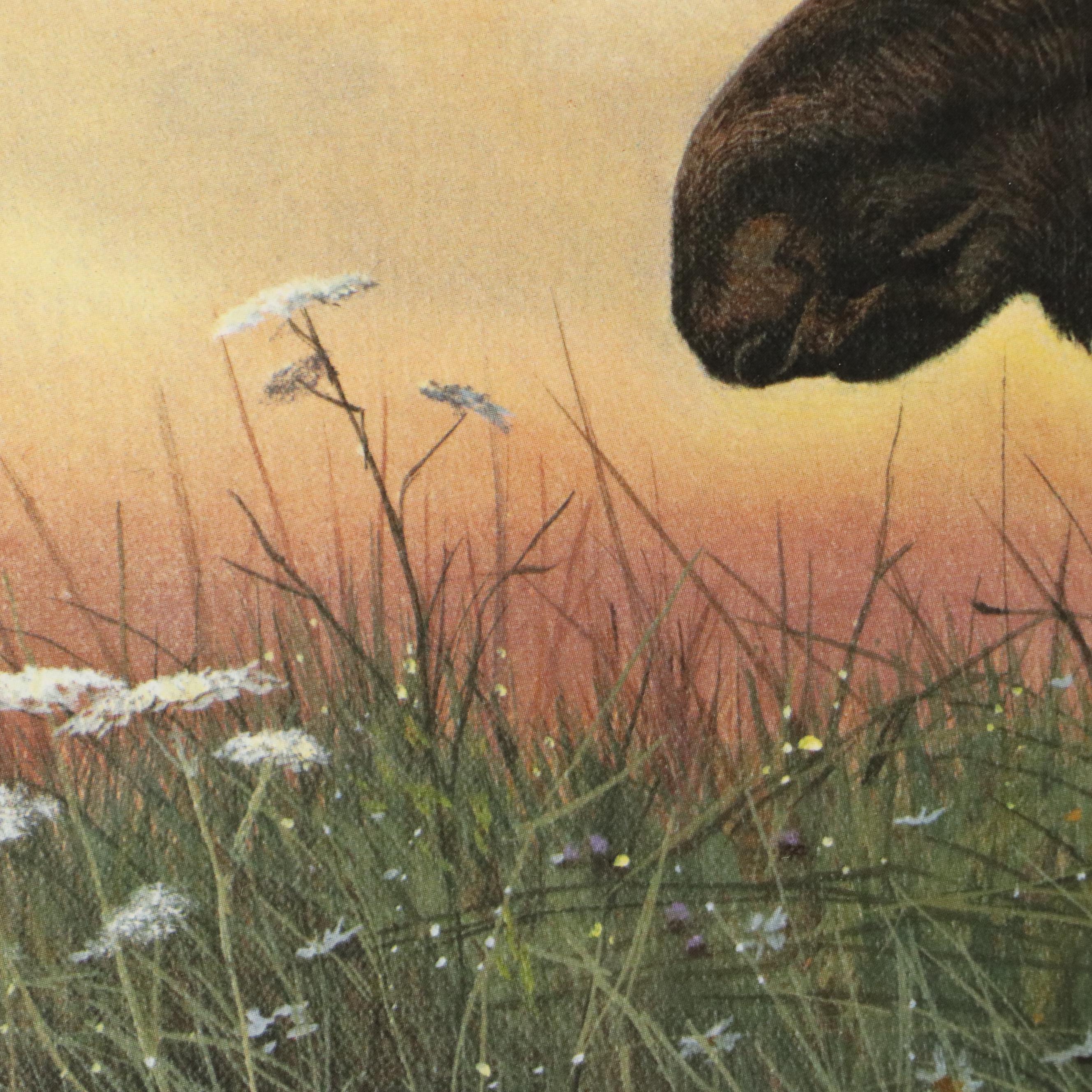 John Seerly-Lester Orint "Daybreak-Moose," 1985