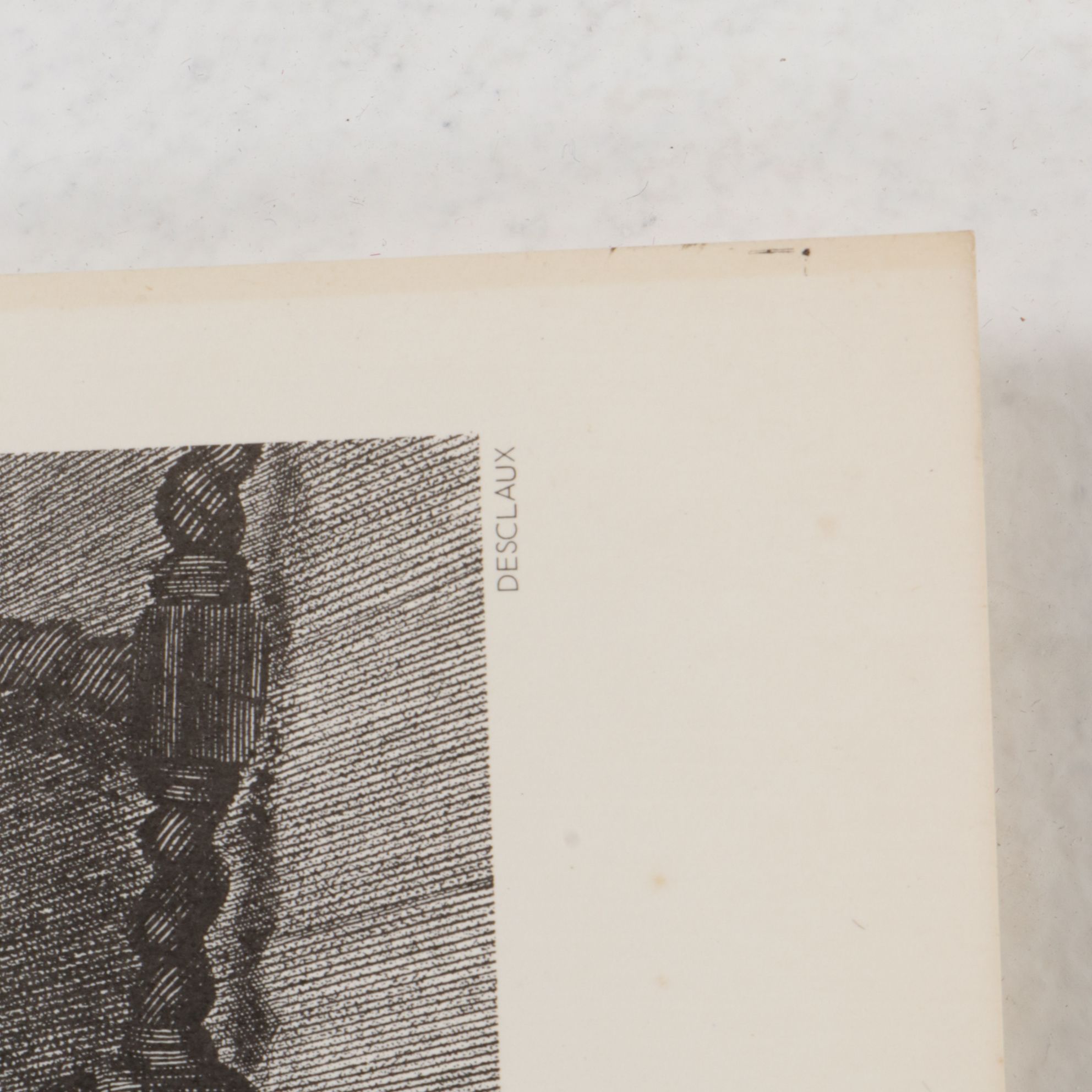 American Screen Process Uncut Lithographs "The Critic" & "Queen of the Vineyard"