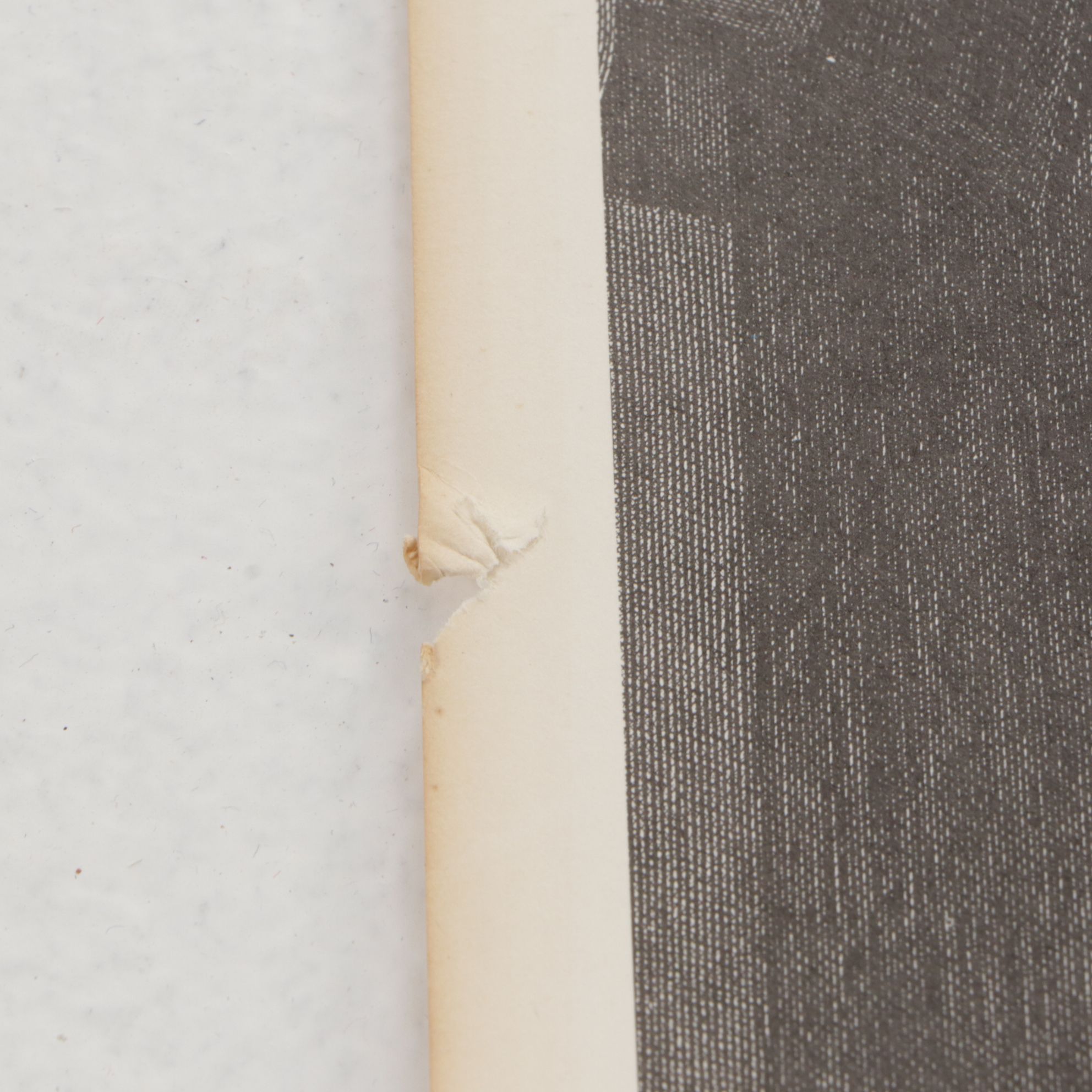 American Screen Process Uncut Lithographs "The Critic" & "Queen of the Vineyard"