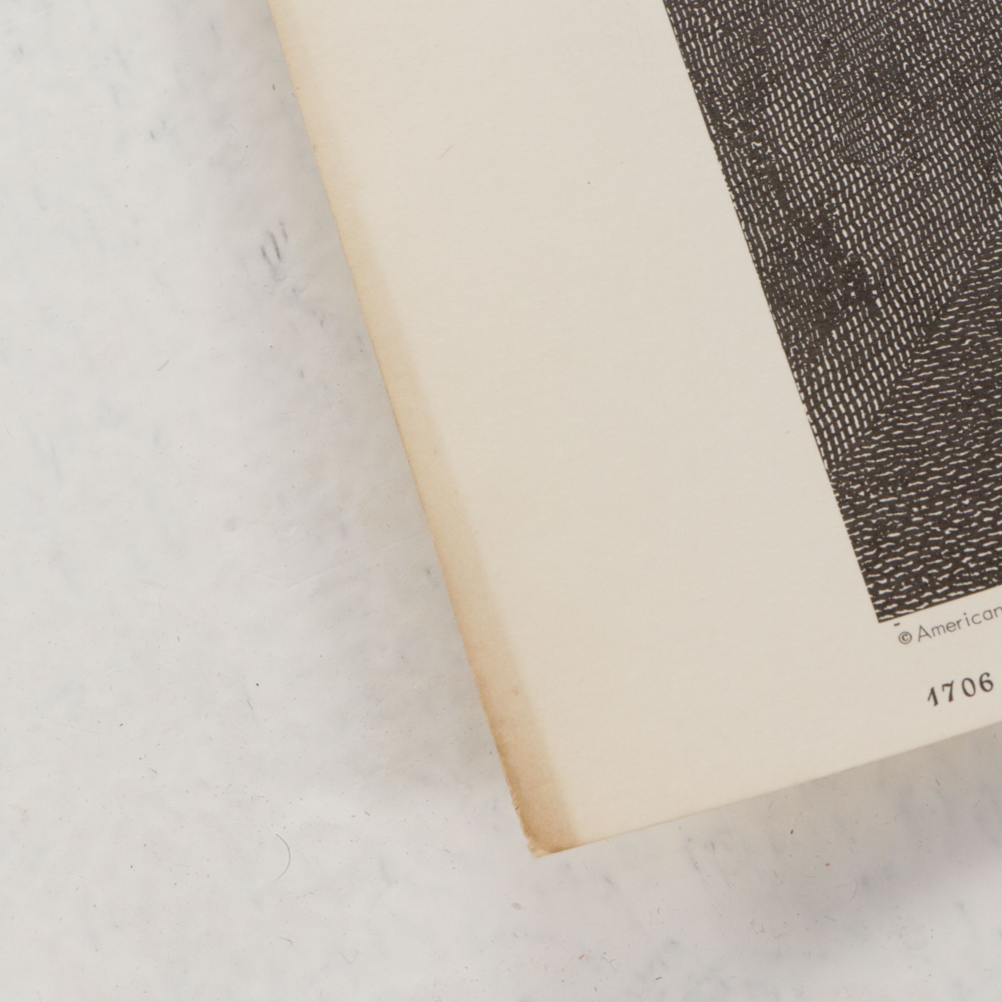 American Screen Process Uncut Lithographs "The Critic" & "Queen of the Vineyard"