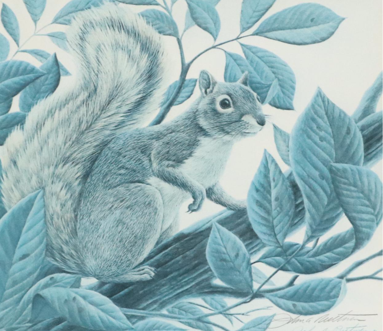 John Ruthven Framed Print "Eastern Fox Squirrel," Late 20th Century