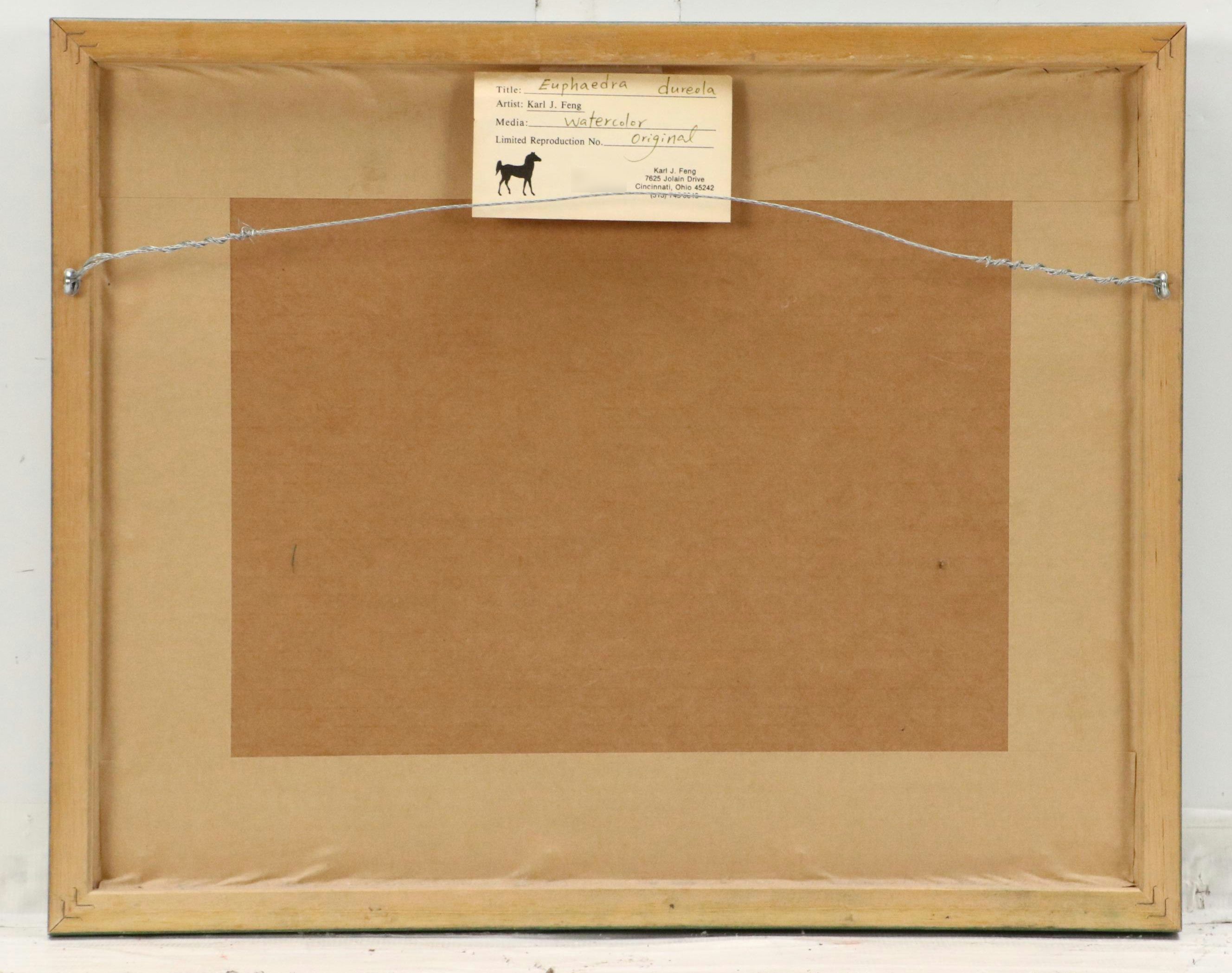 Karl J. Feng Watercolor Painting "Euphaedra Dureola," Late 20th Century
