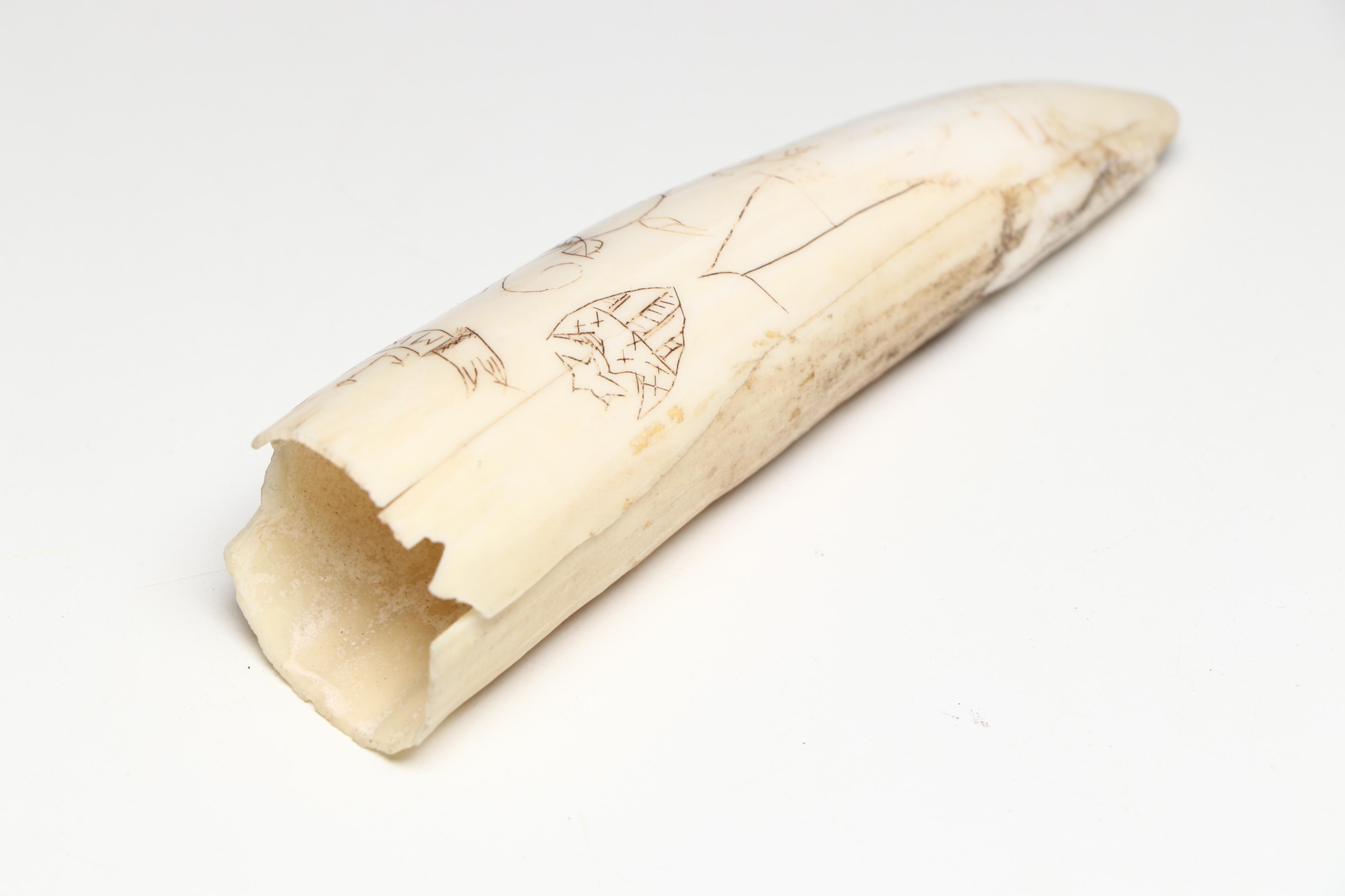 Indigenous North American Carved Bone Tools and Implements