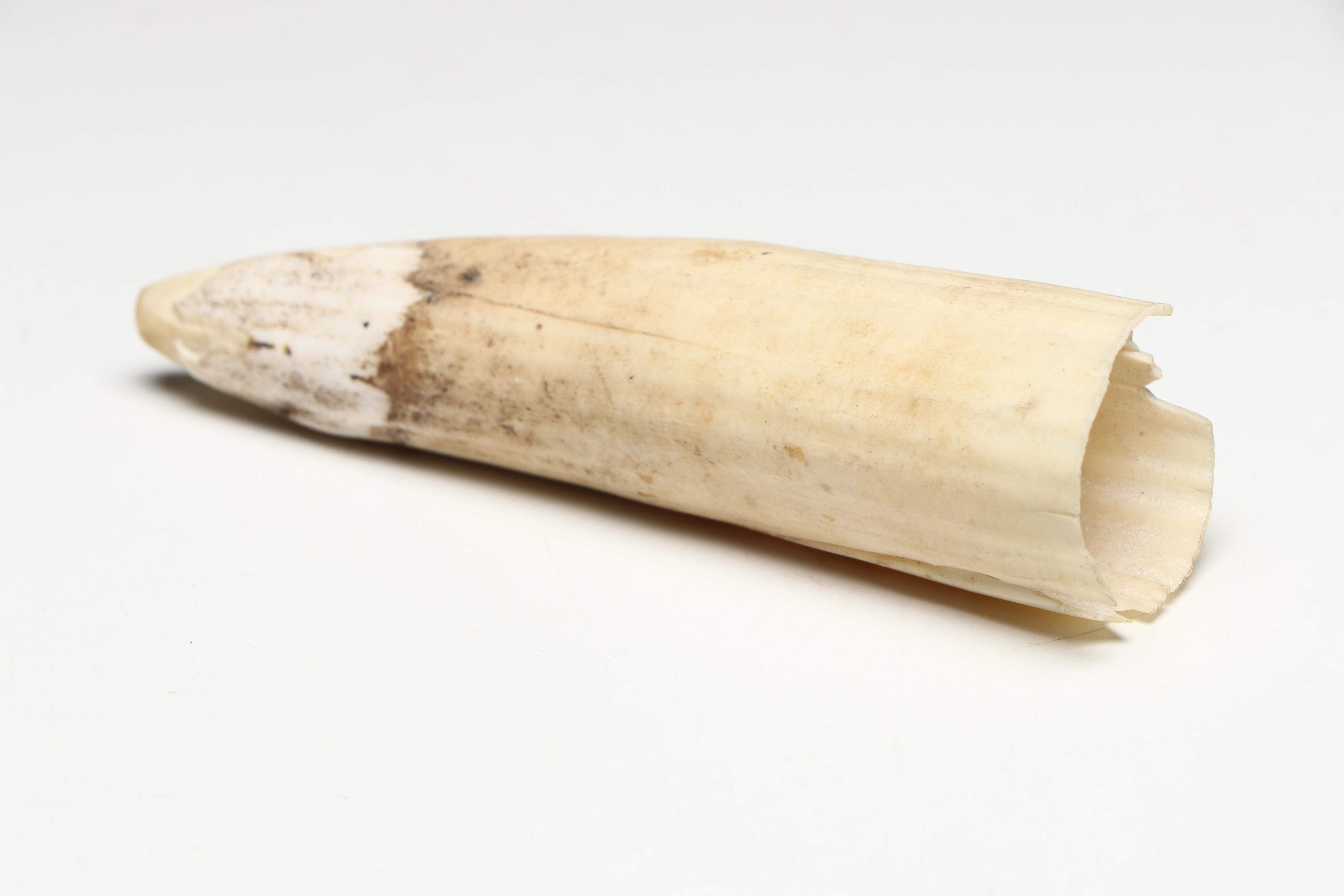 Indigenous North American Carved Bone Tools and Implements