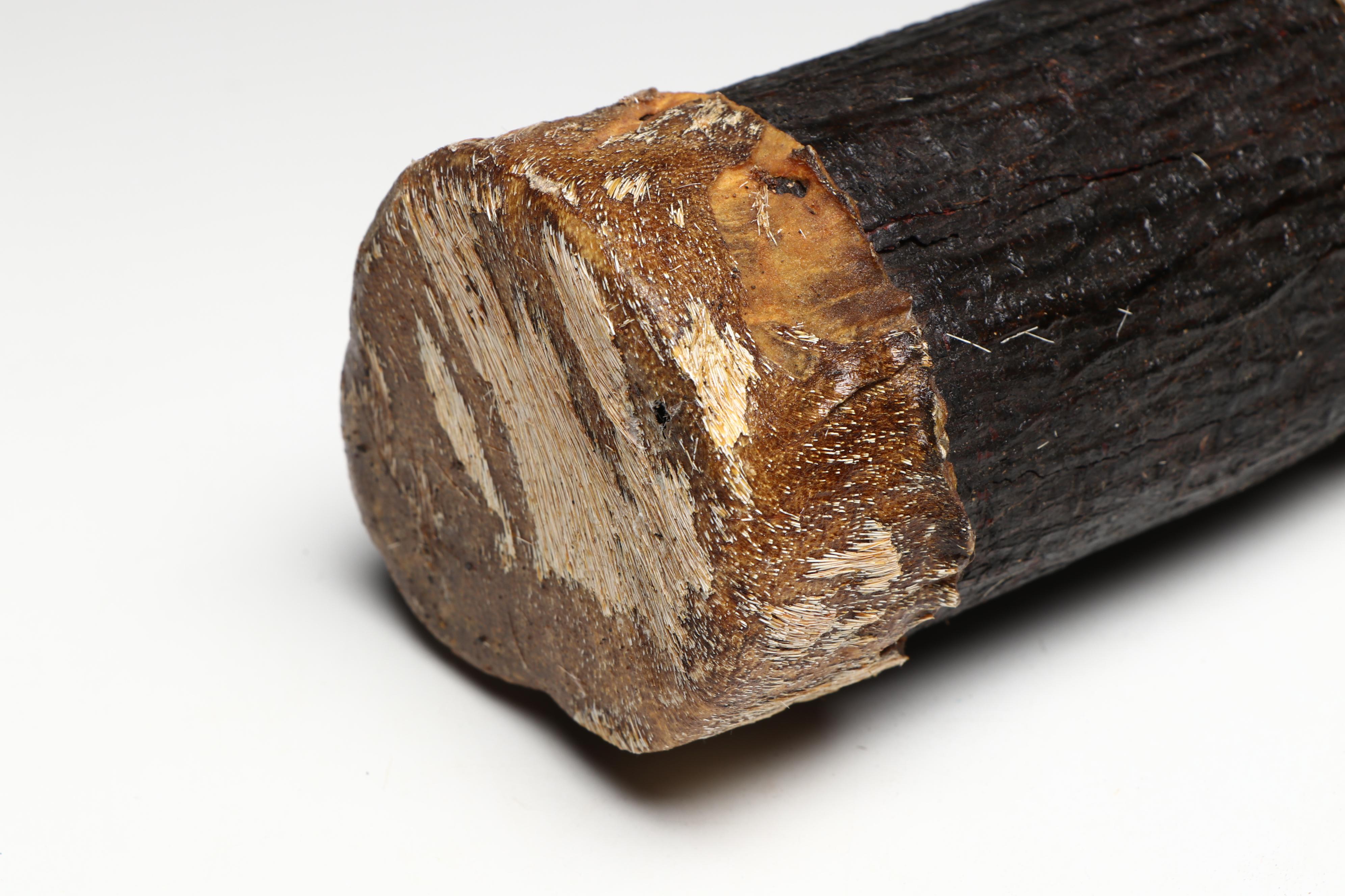 Brazilian Amazon Indigenous Quivers with Arrows