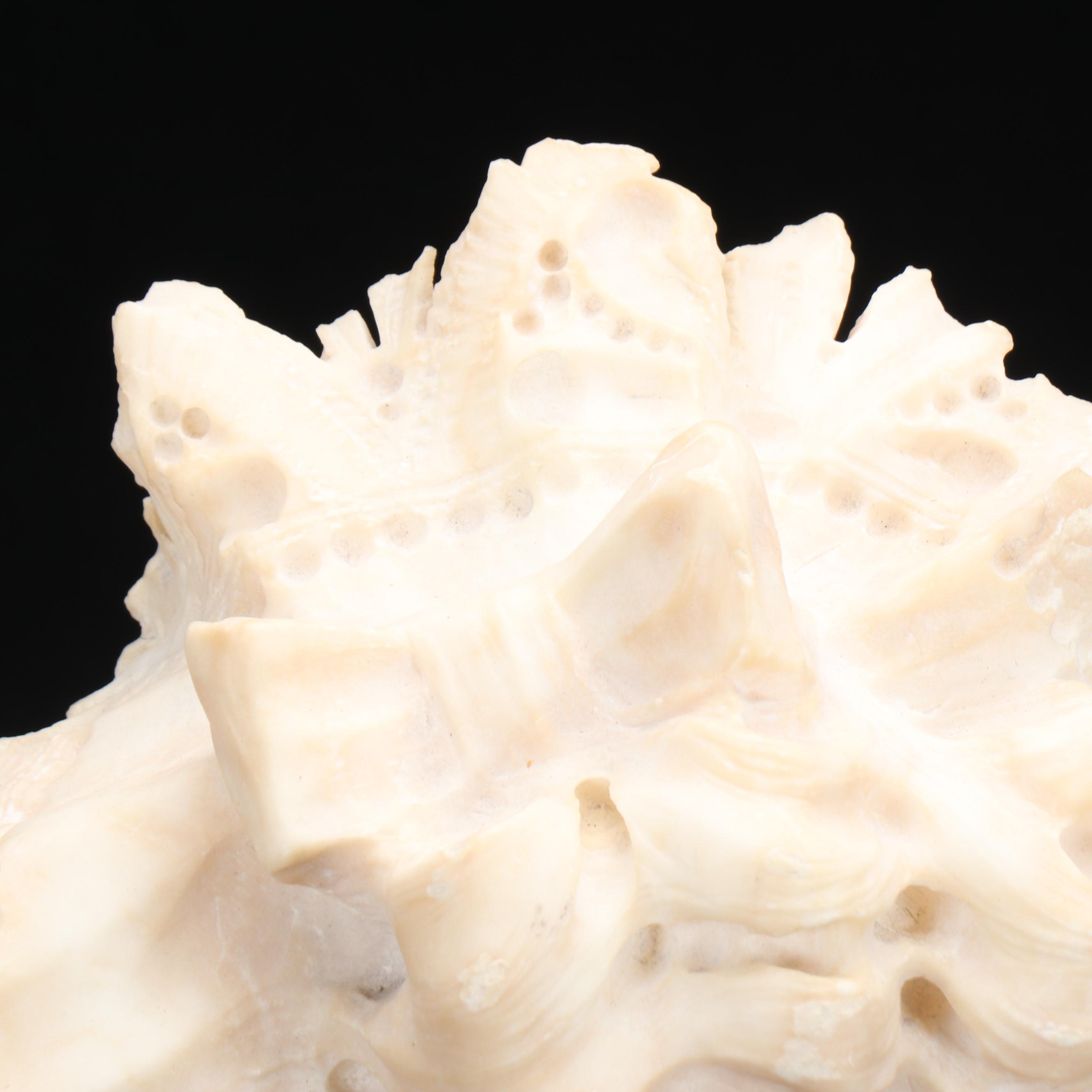 Alabaster Bust of Woman in Bonnet