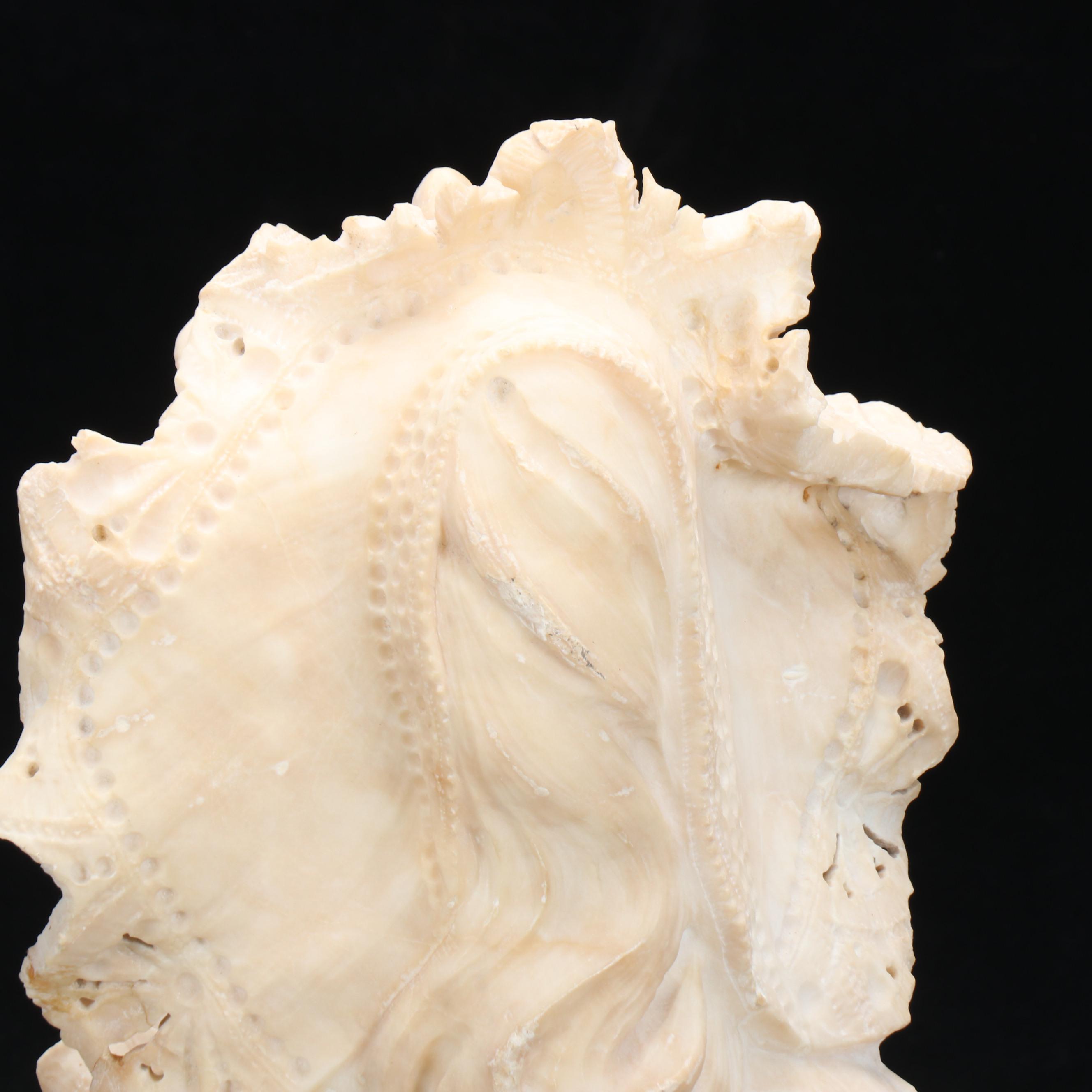 Alabaster Bust of Woman in Bonnet