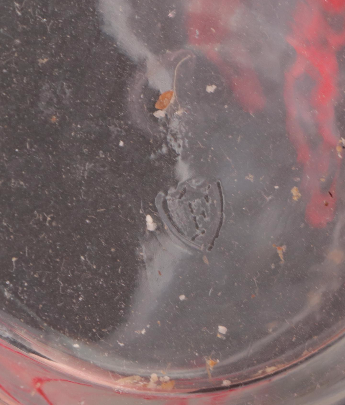 Libbey Disney's Cinderella and Federal Li'l Abner Glass Tumblers