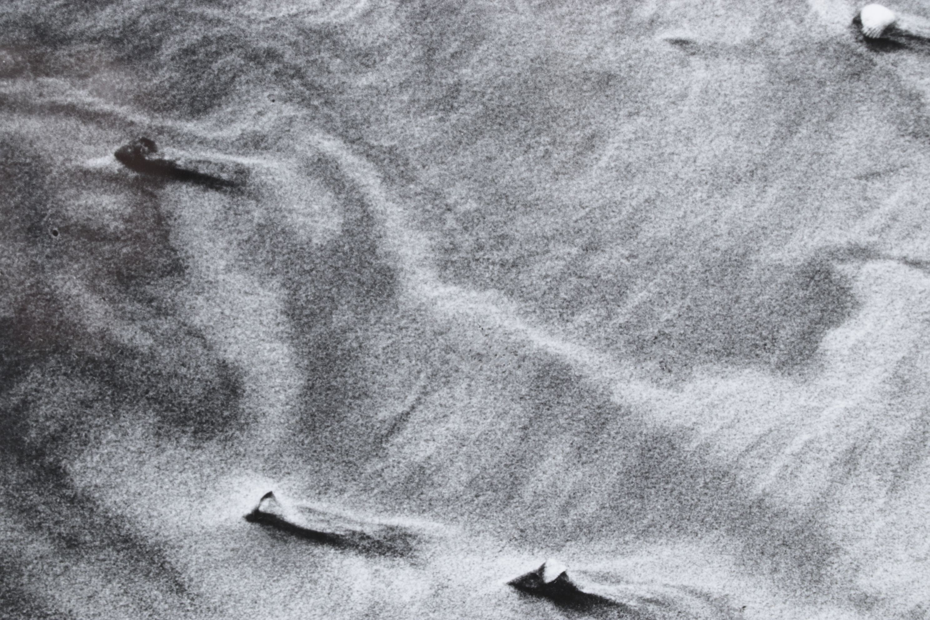 Meinard Woldringh Sivler Gelatin Abstract Photograph