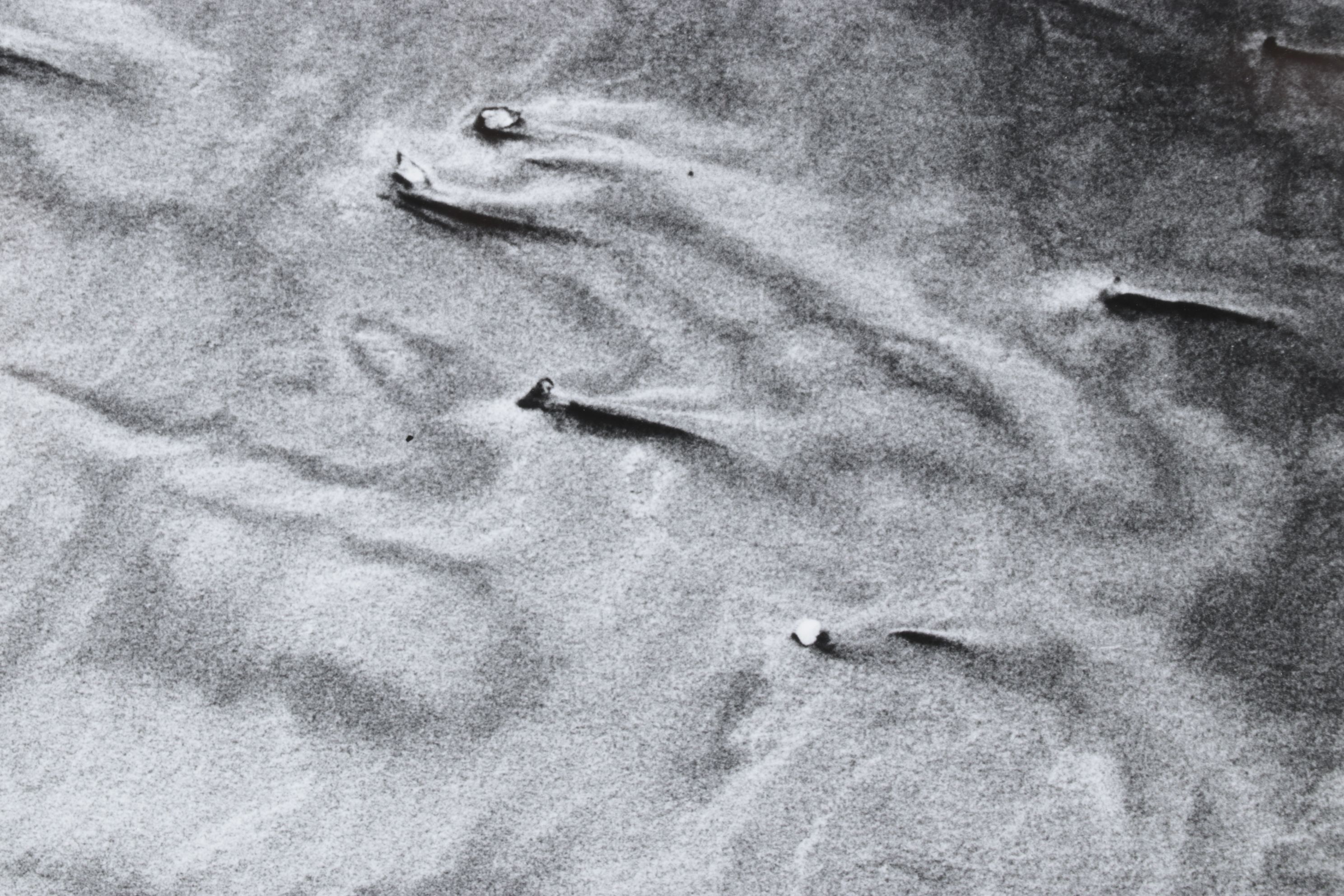 Meinard Woldringh Sivler Gelatin Abstract Photograph