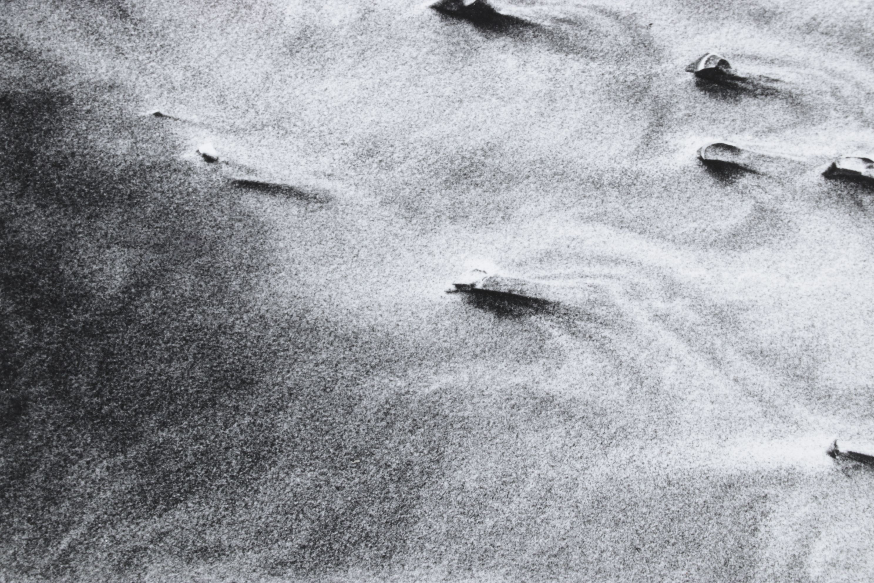 Meinard Woldringh Sivler Gelatin Abstract Photograph