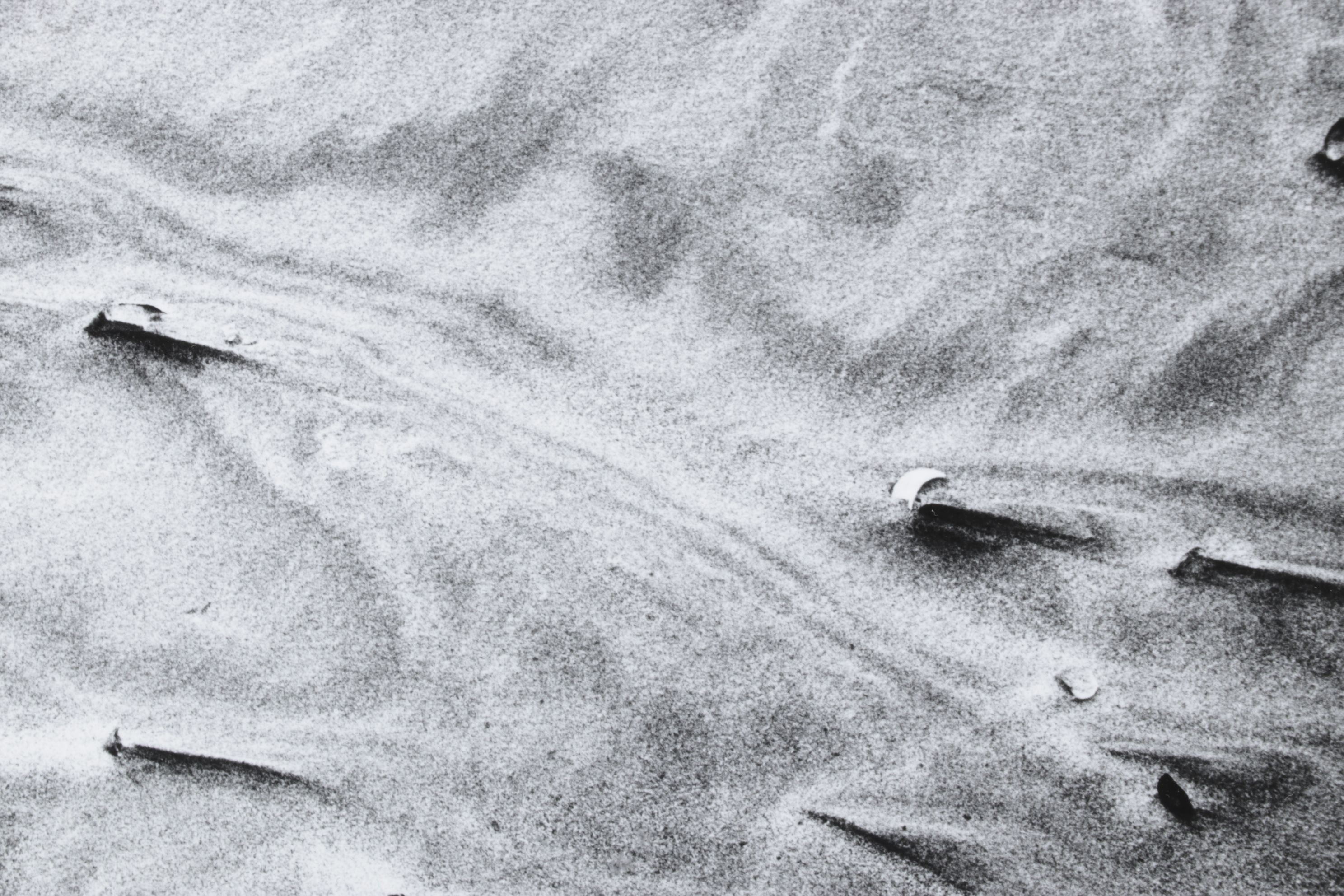 Meinard Woldringh Sivler Gelatin Abstract Photograph