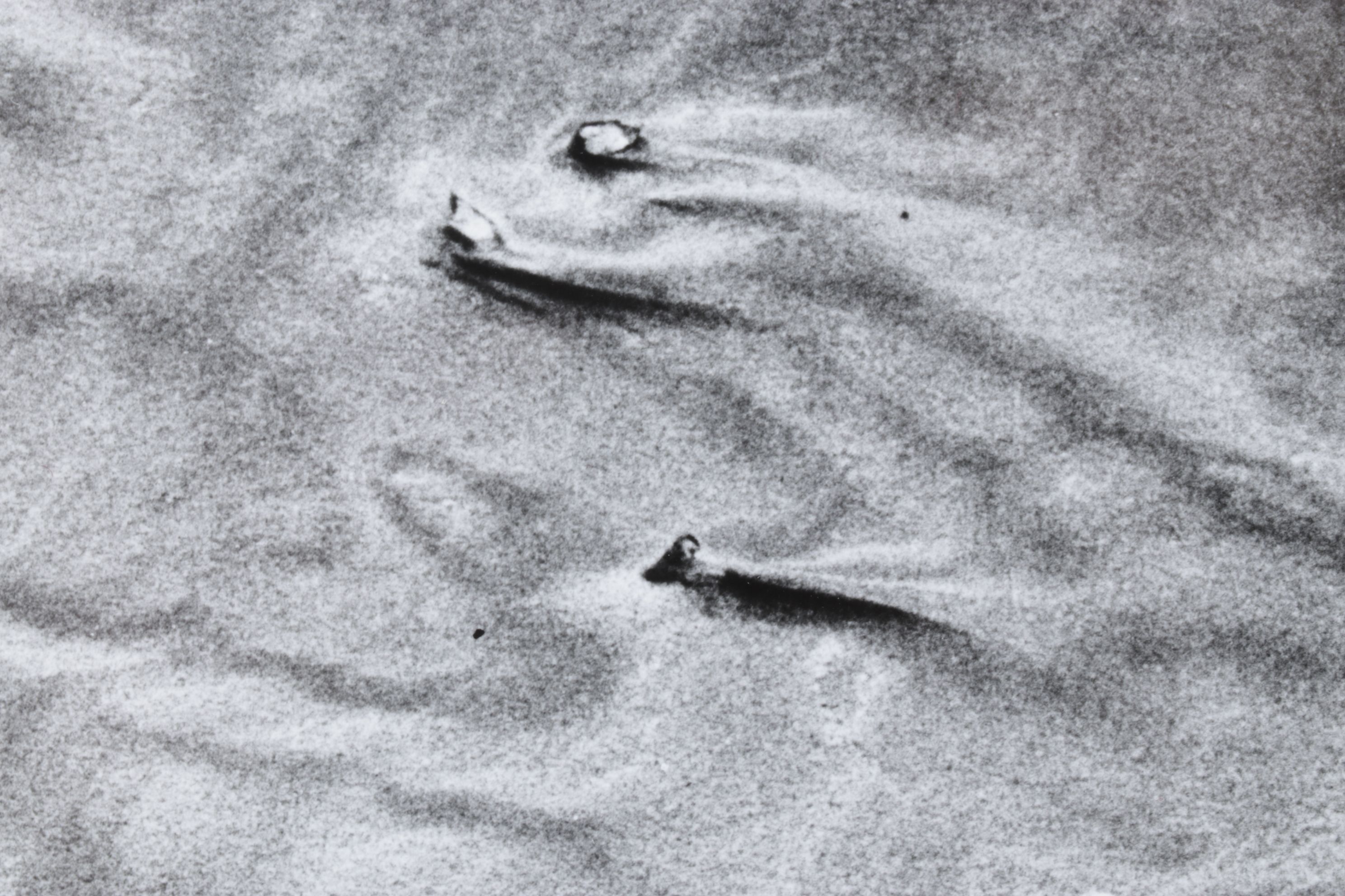 Meinard Woldringh Sivler Gelatin Abstract Photograph