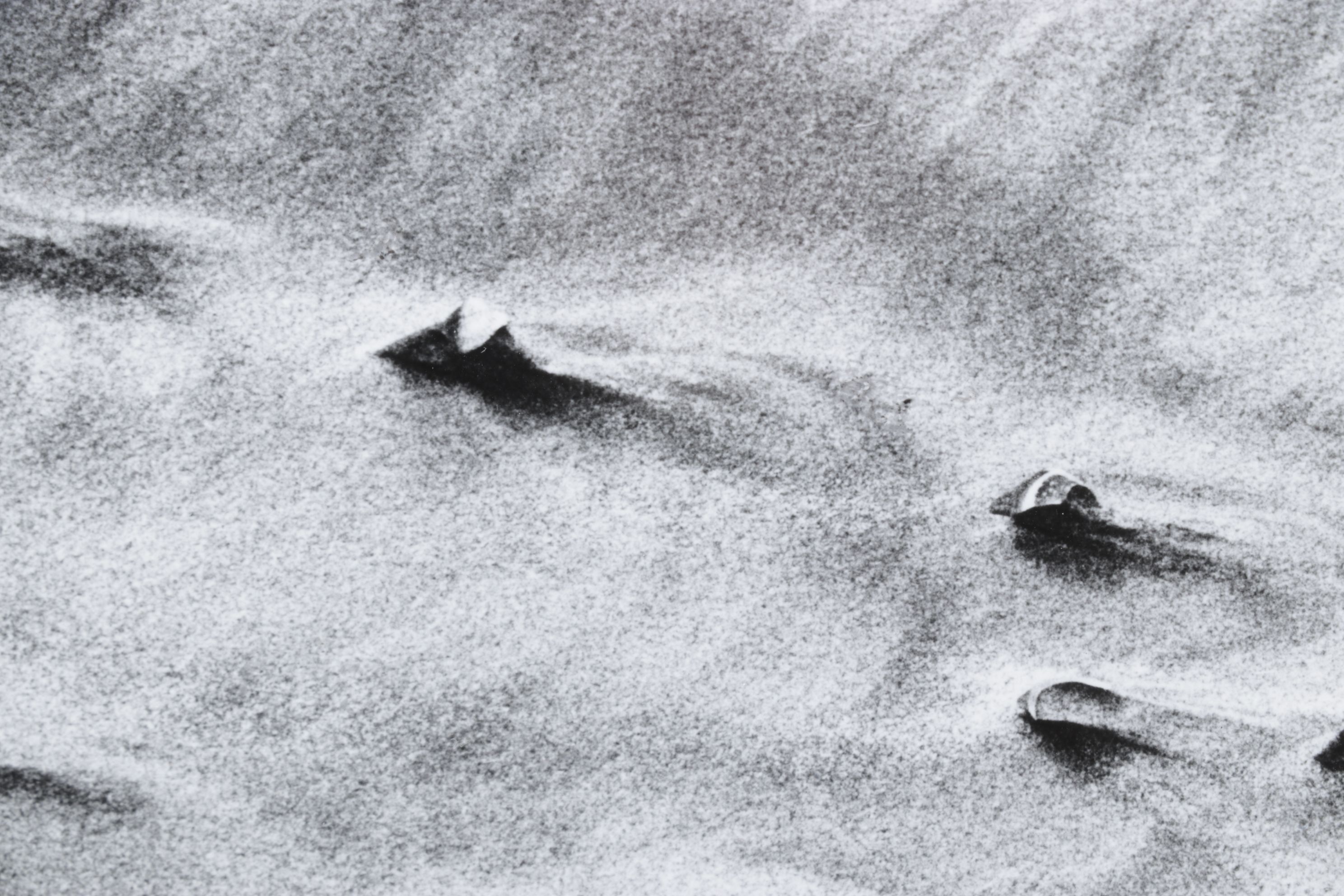 Meinard Woldringh Sivler Gelatin Abstract Photograph