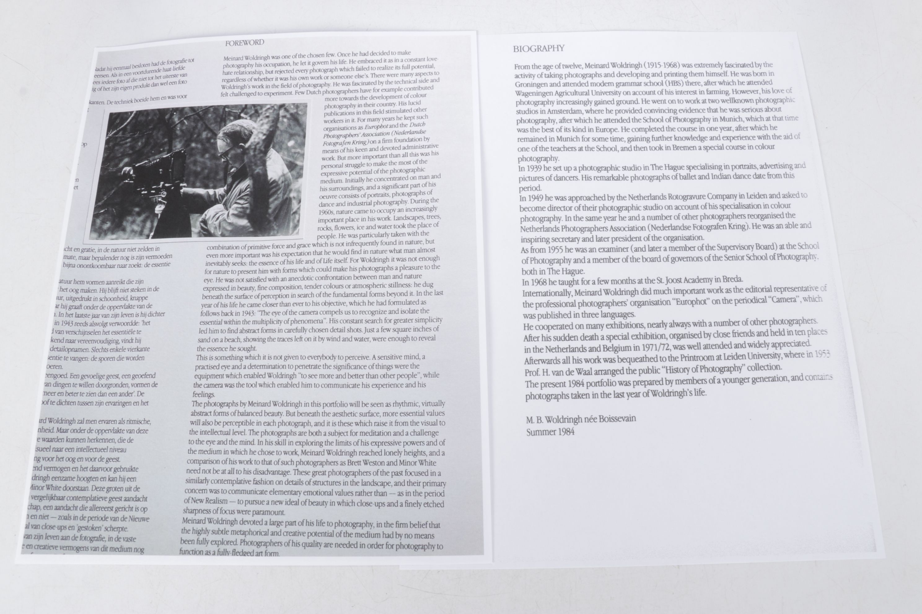 Meinard Woldringh Sivler Gelatin Abstract Photograph