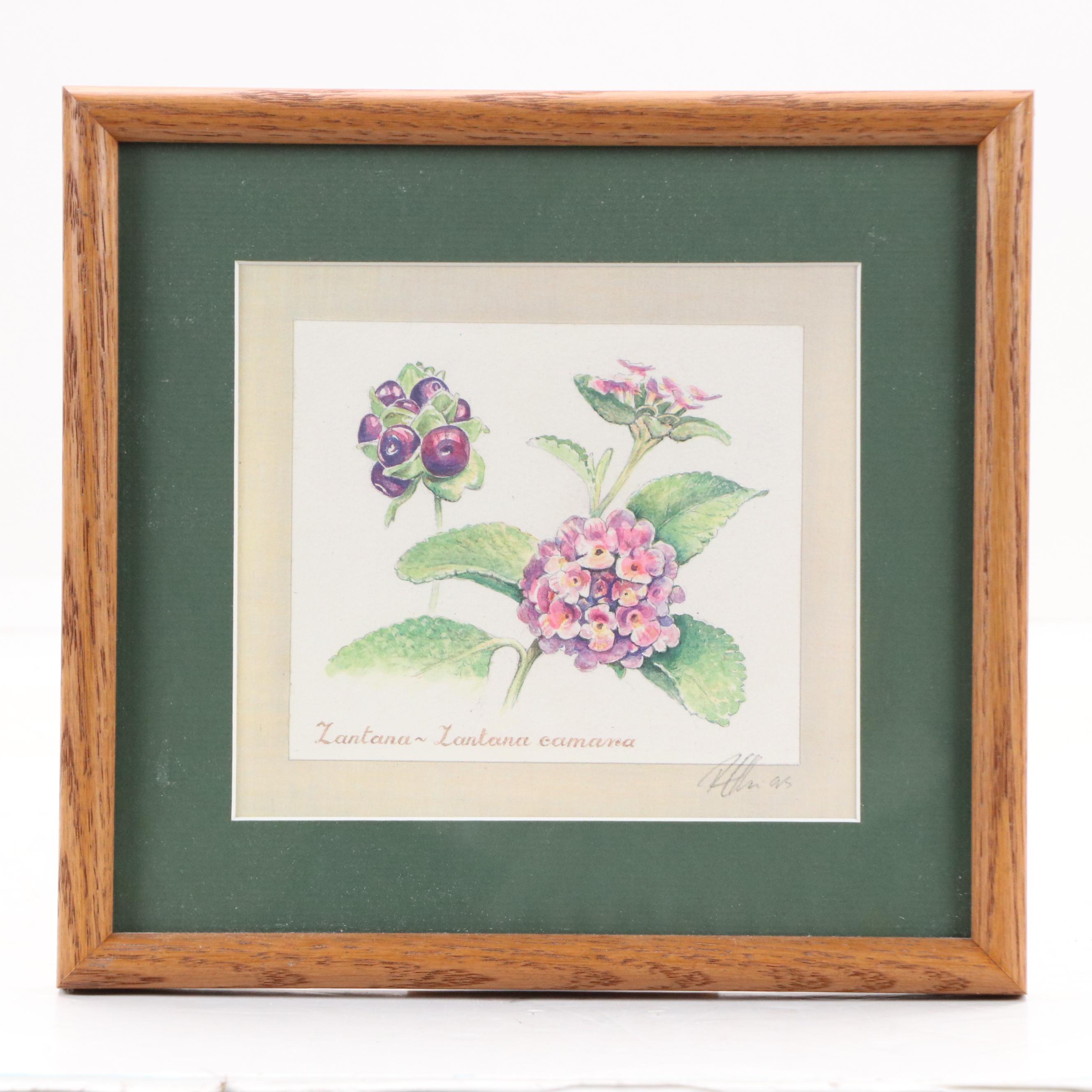 Floral Offset Lithographs of Hawaiian Flowers, 1990s