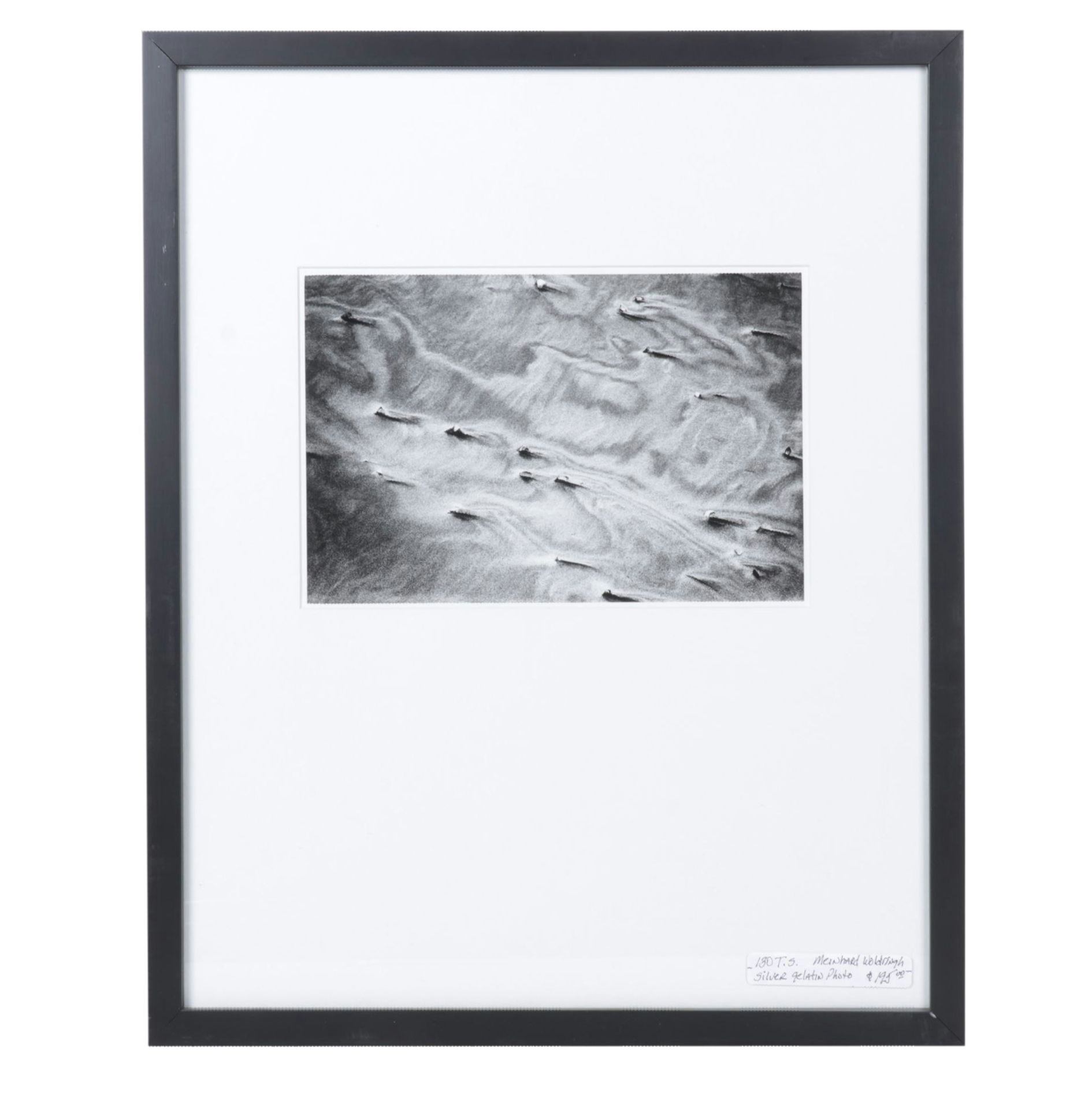 Meinard Woldringh Sivler Gelatin Abstract Photograph