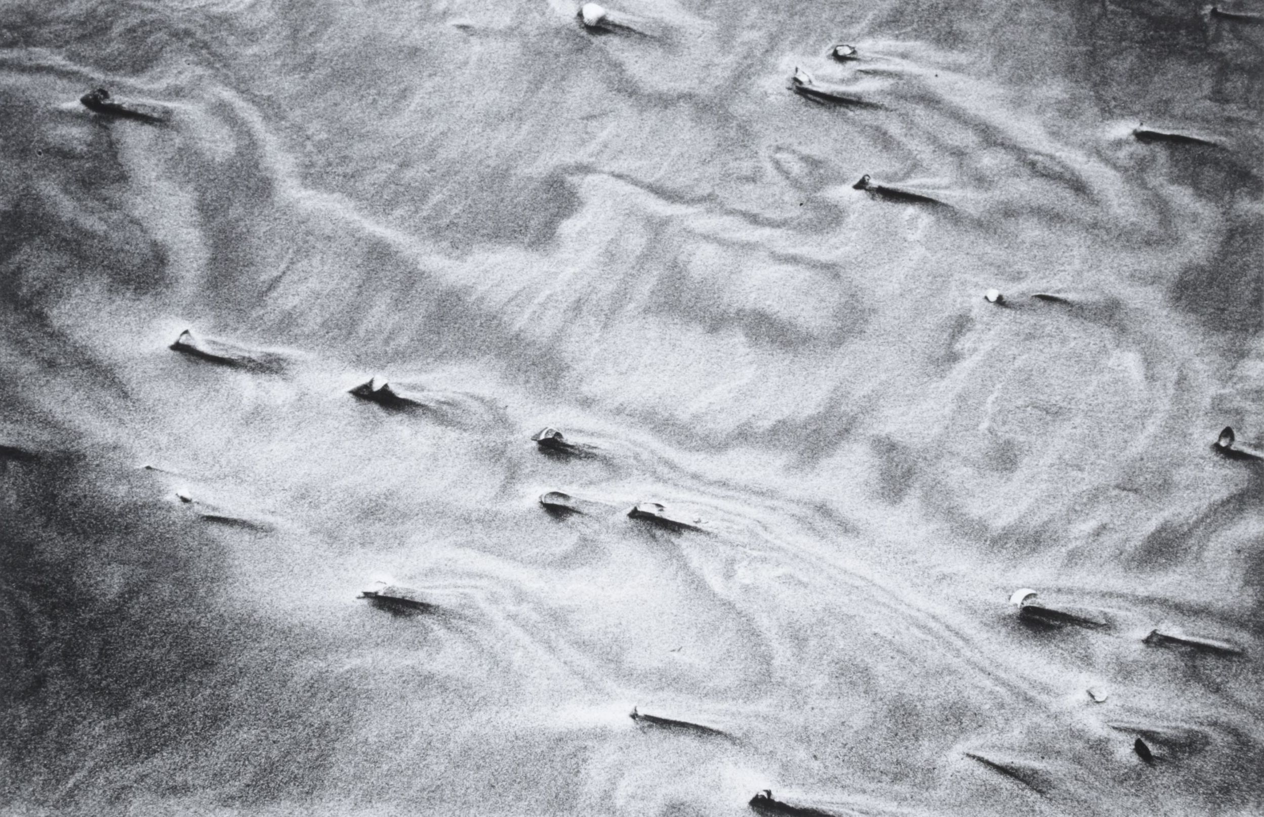 Meinard Woldringh Sivler Gelatin Abstract Photograph