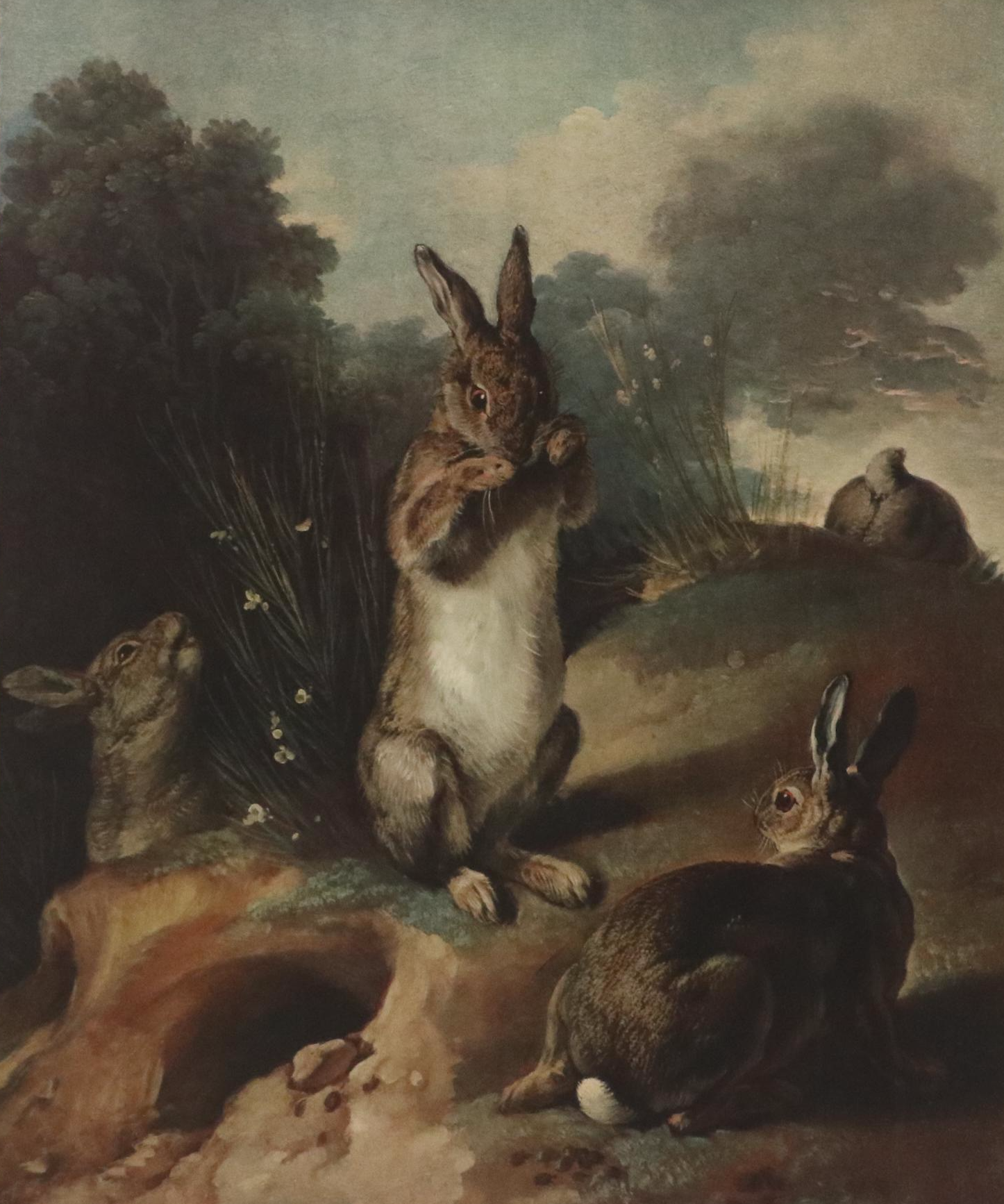 After Alexandre-François Desportes Giclée "Rabbits"