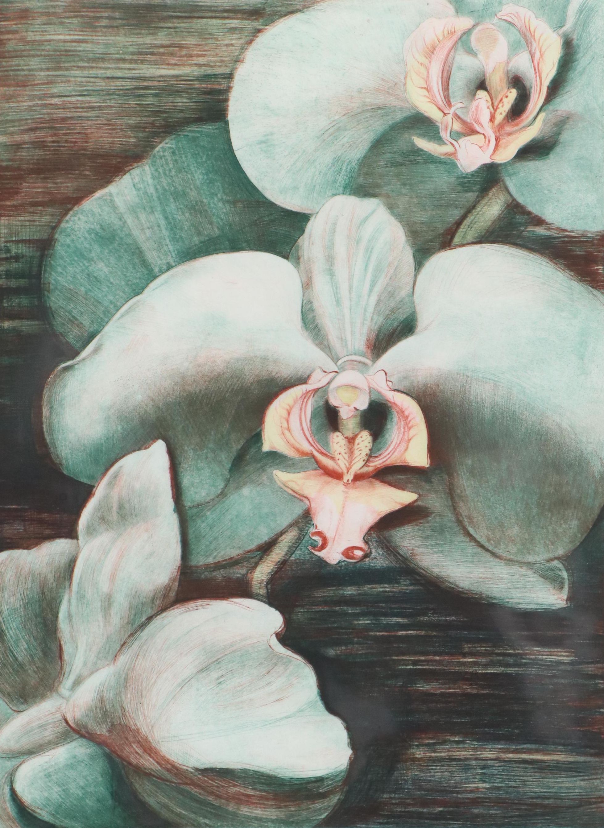 Floral Etching à la Poupée "Moth Orchids," 1988
