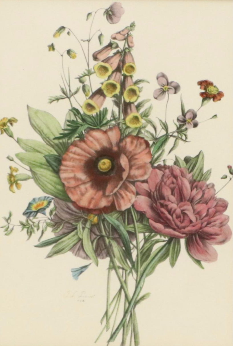 Botanical Halftone Prints After Jean-Louis Prévost
