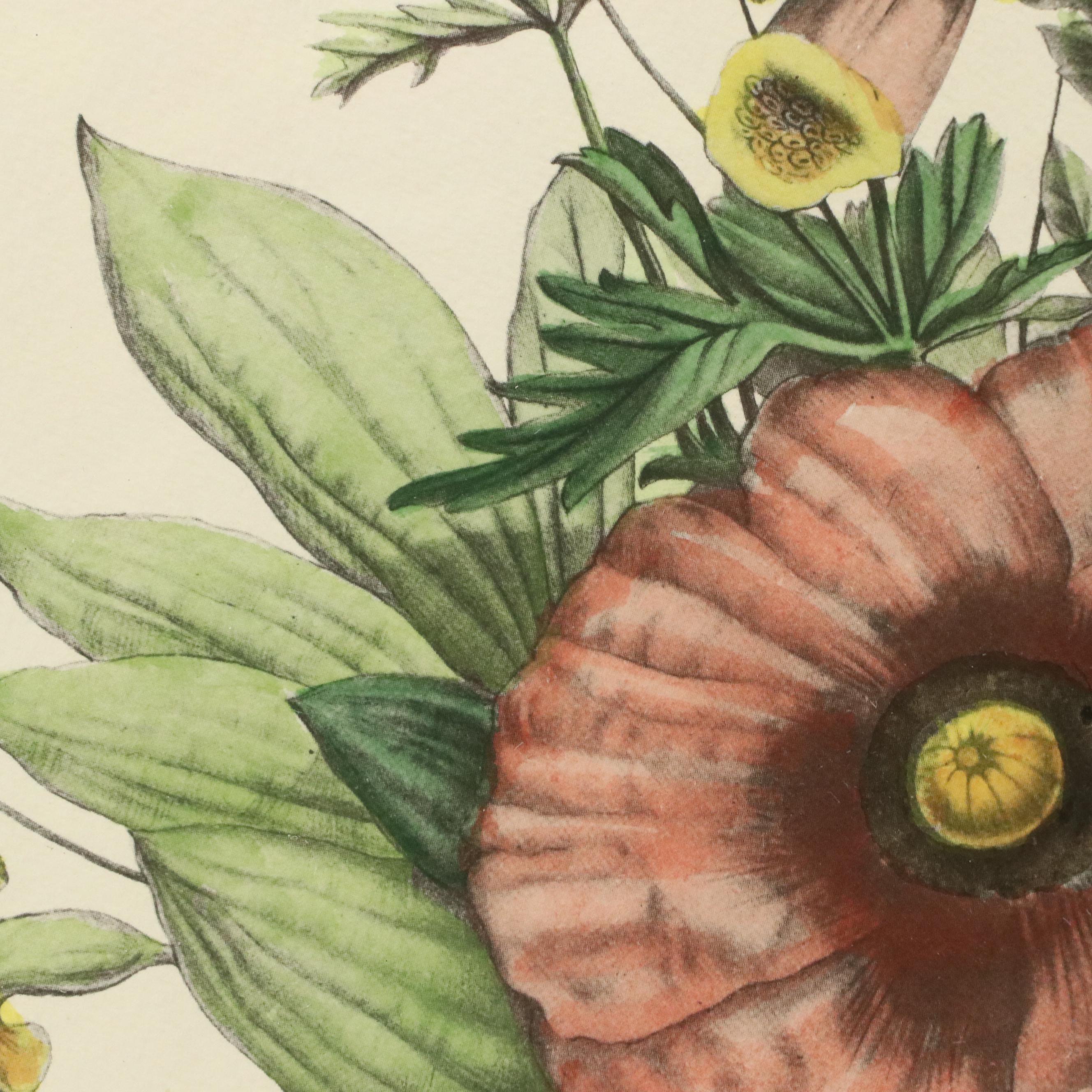 Botanical Halftone Prints After Jean-Louis Prévost